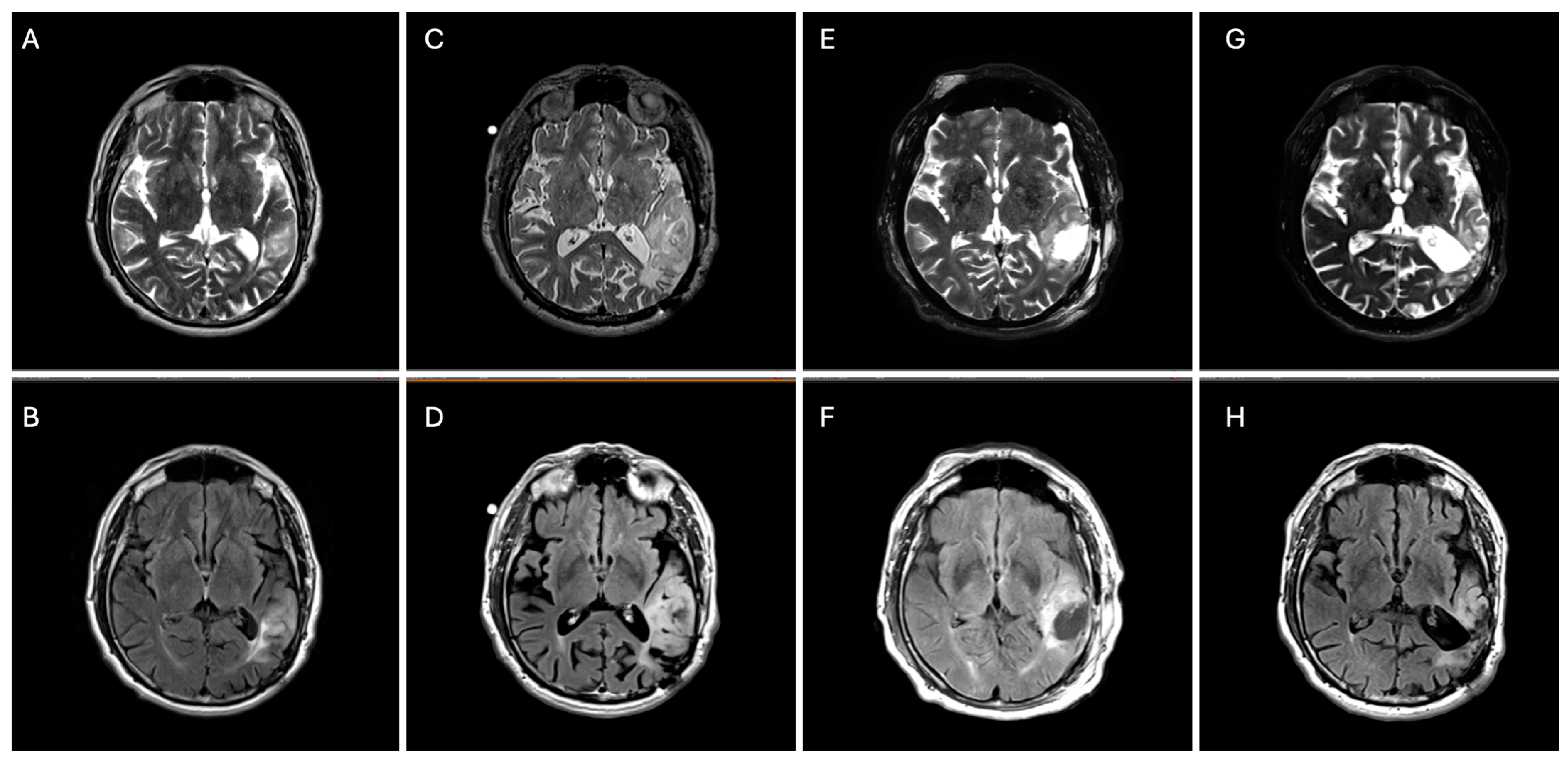 Biomedicines 13 00201 g002