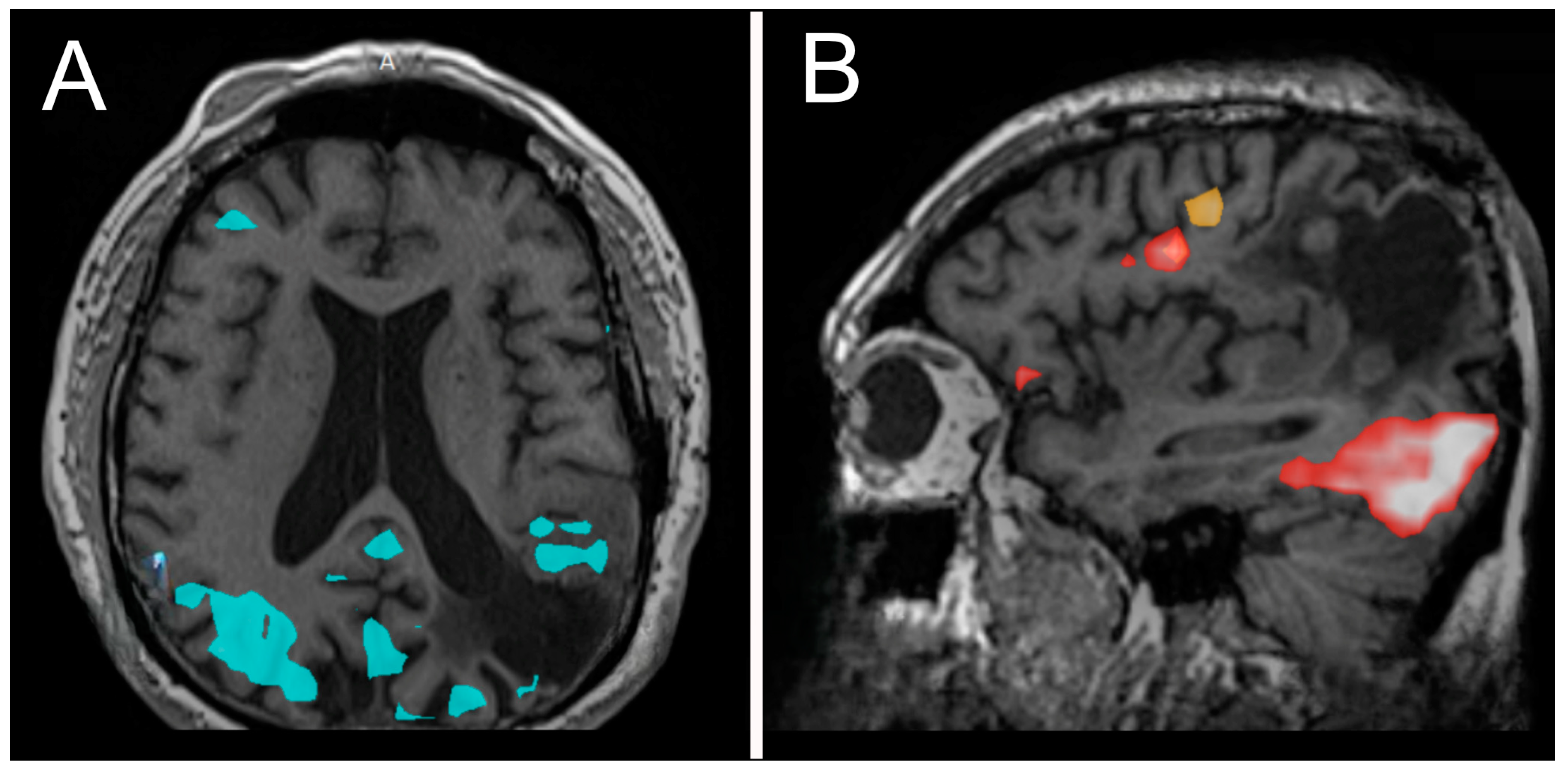 Biomedicines 13 00201 g003