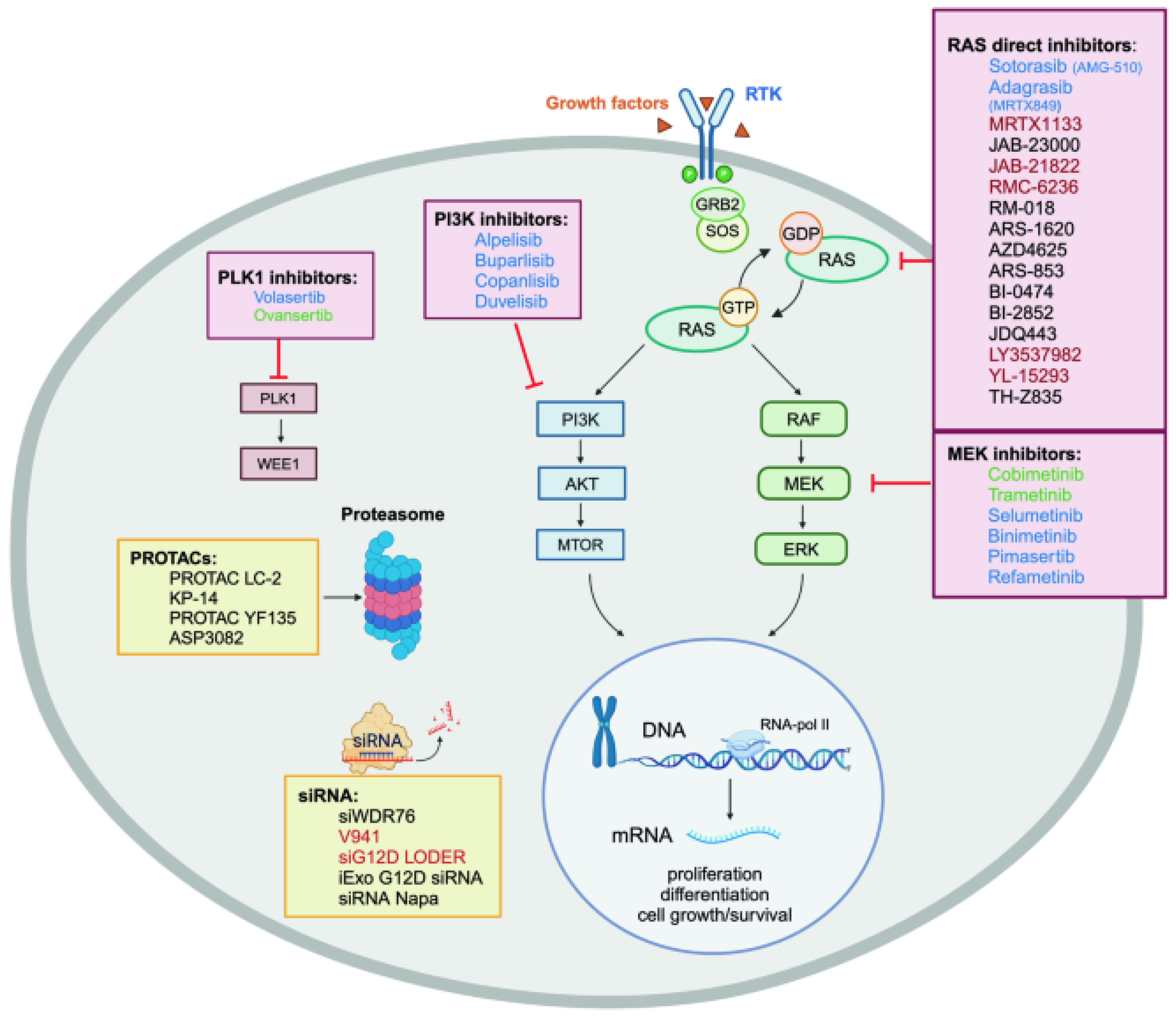 Biomedicines 13 00202 g004