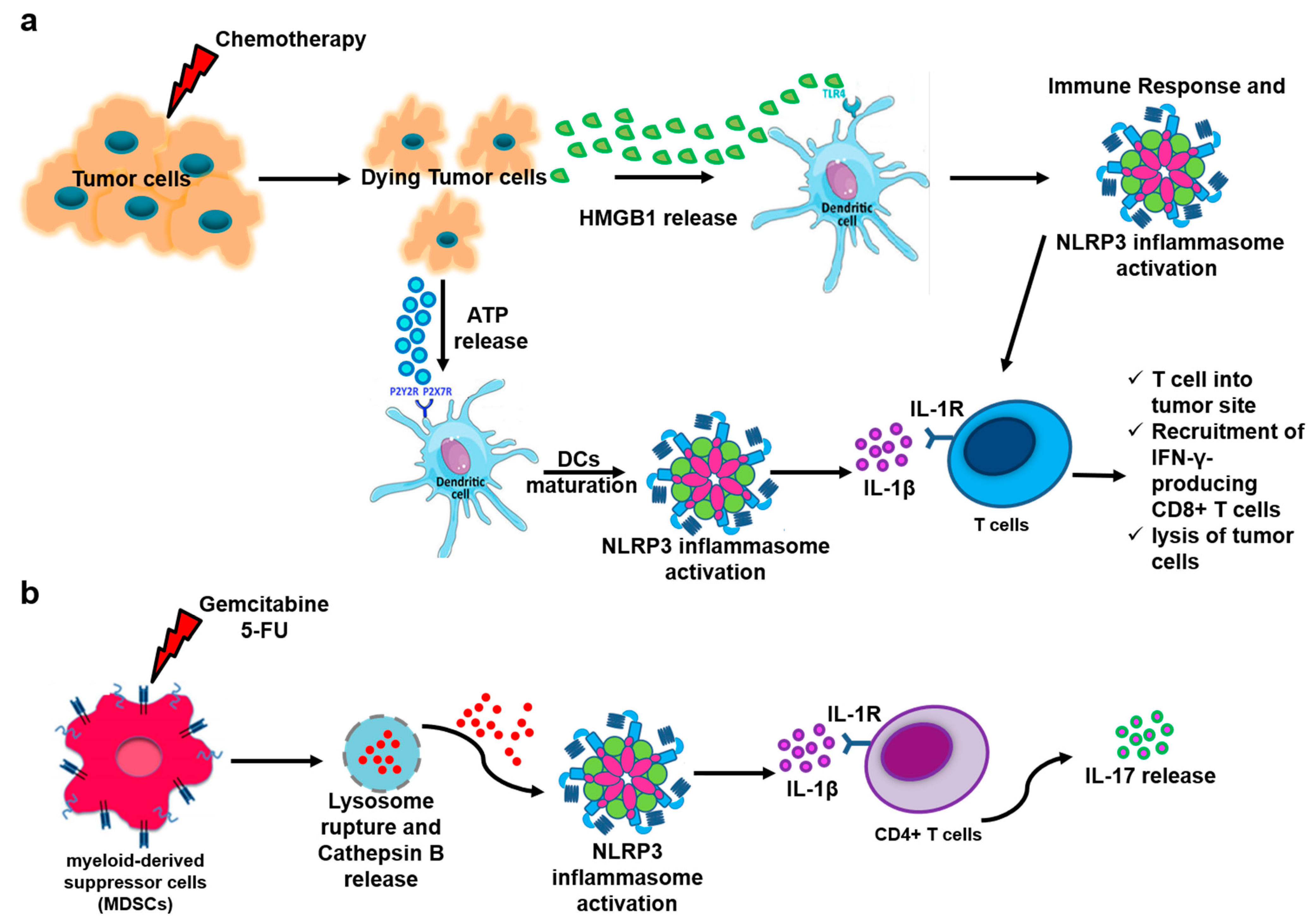 Biomedicines 13 00203 g001