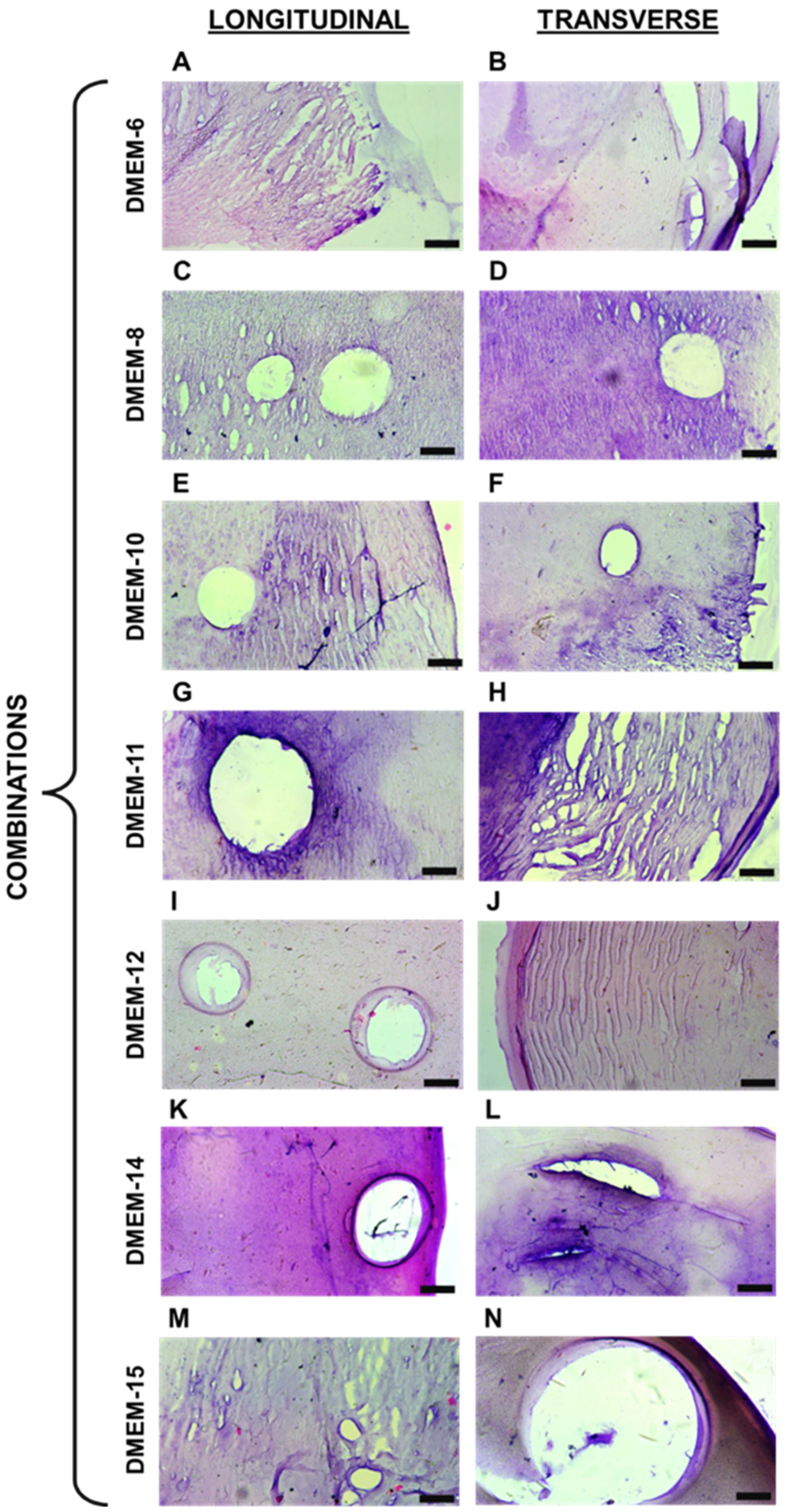 Biomedicines 13 00208 g002