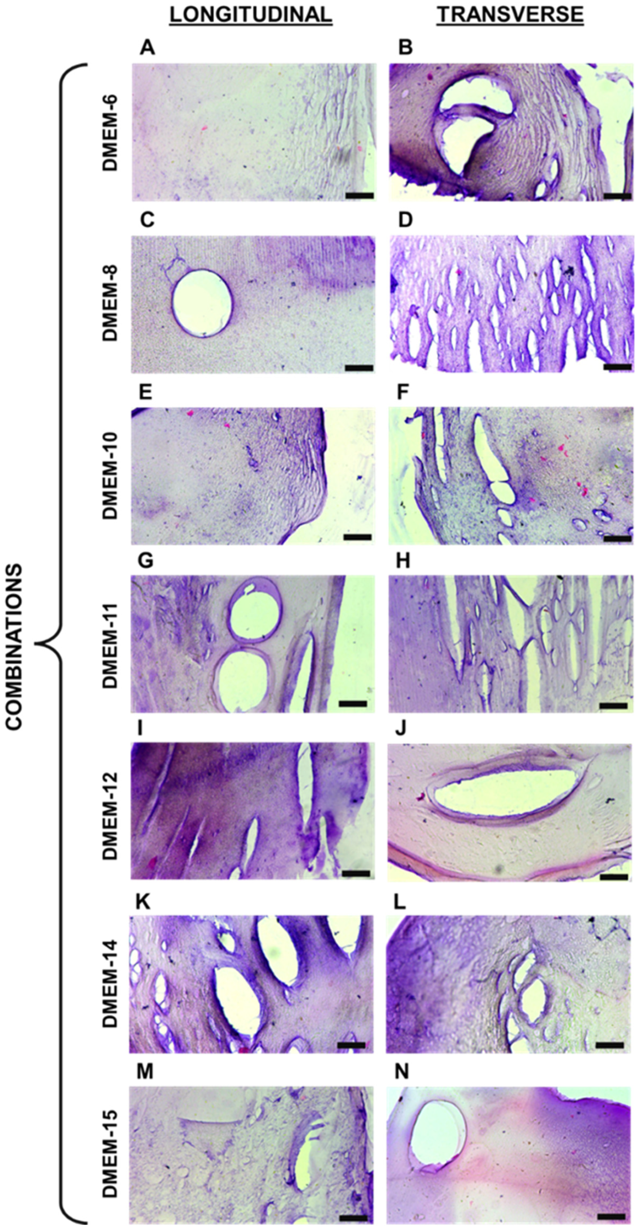 Biomedicines 13 00208 g003