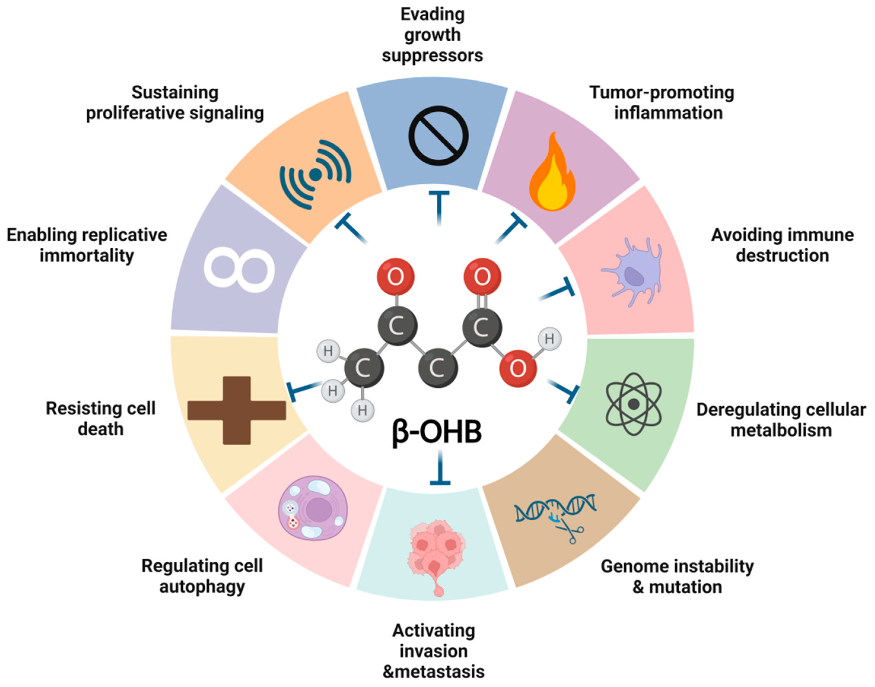 Biomedicines 13 00210 g002