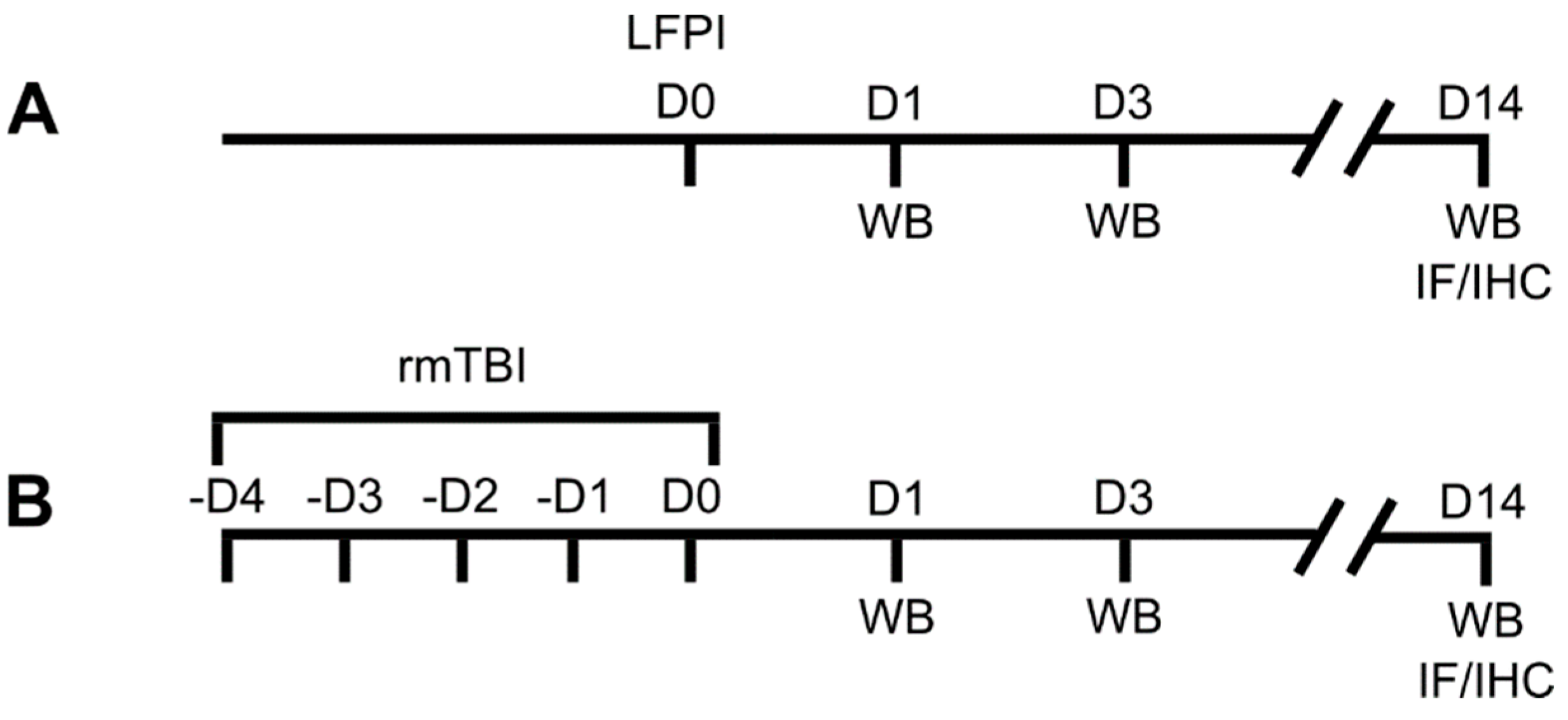 Biomedicines 13 00218 g001