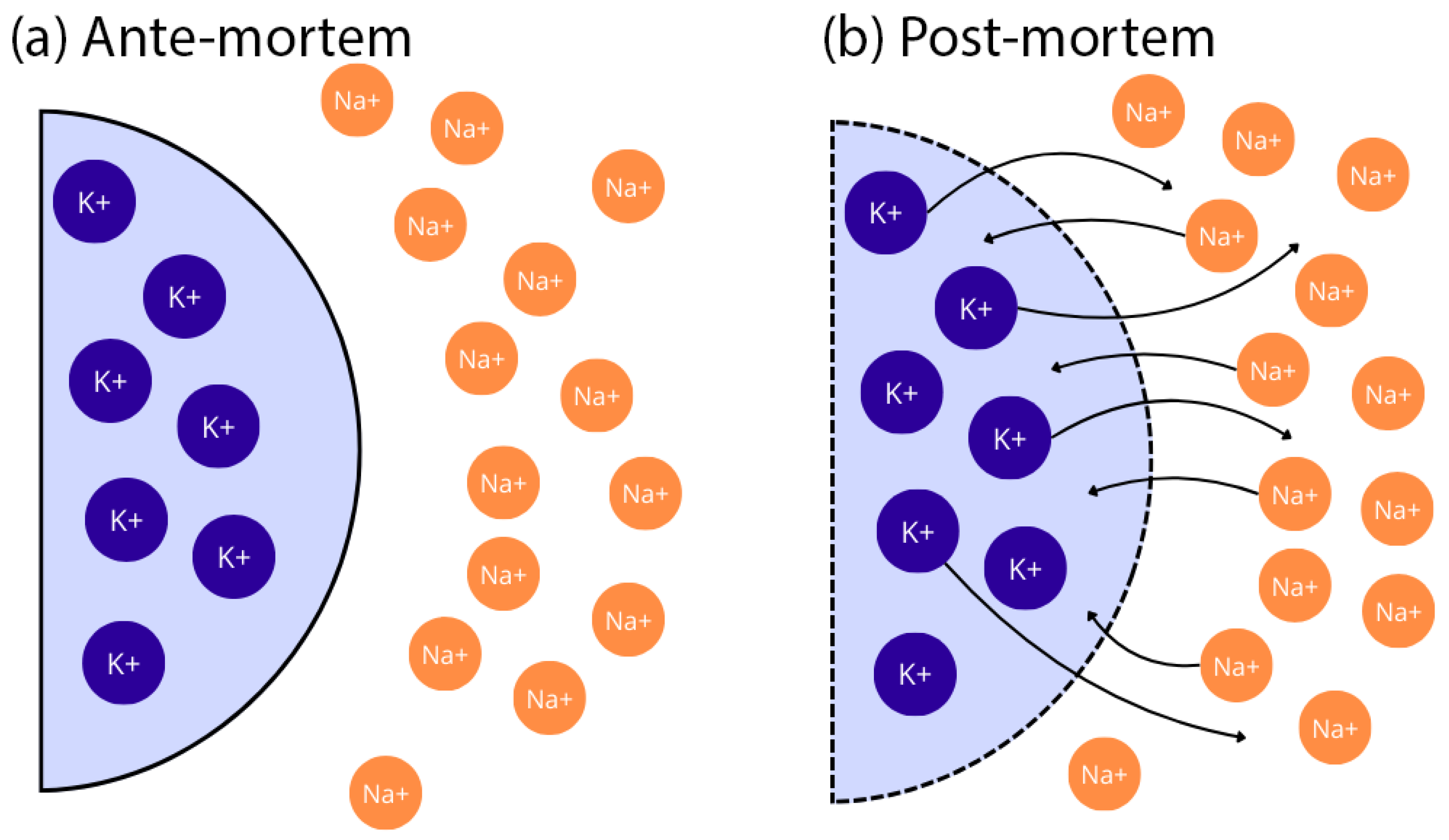 Biomedicines 13 00222 g001