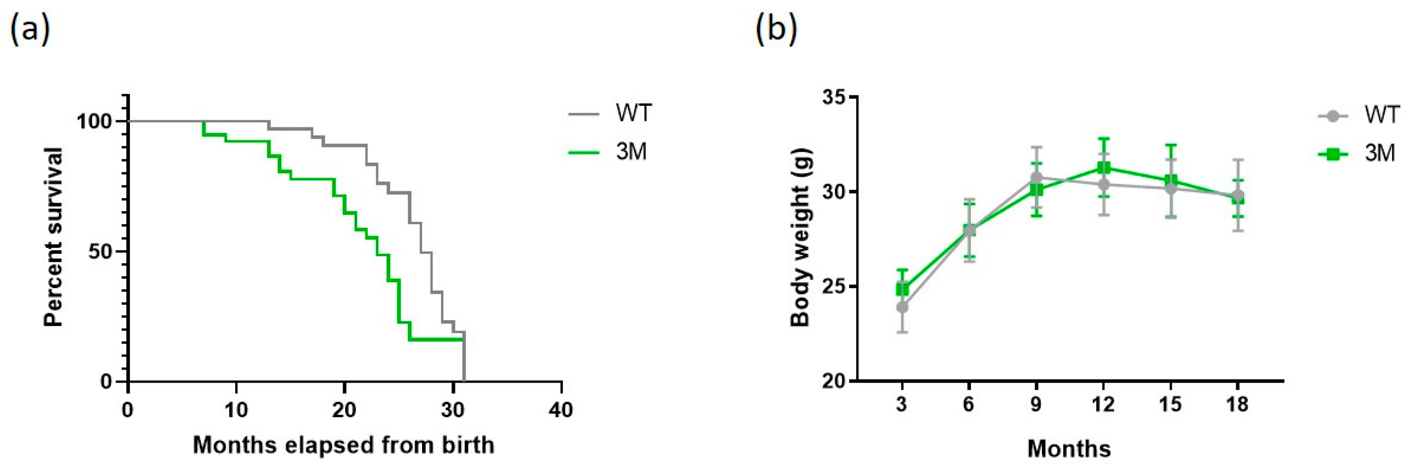 Biomedicines 13 00224 g001