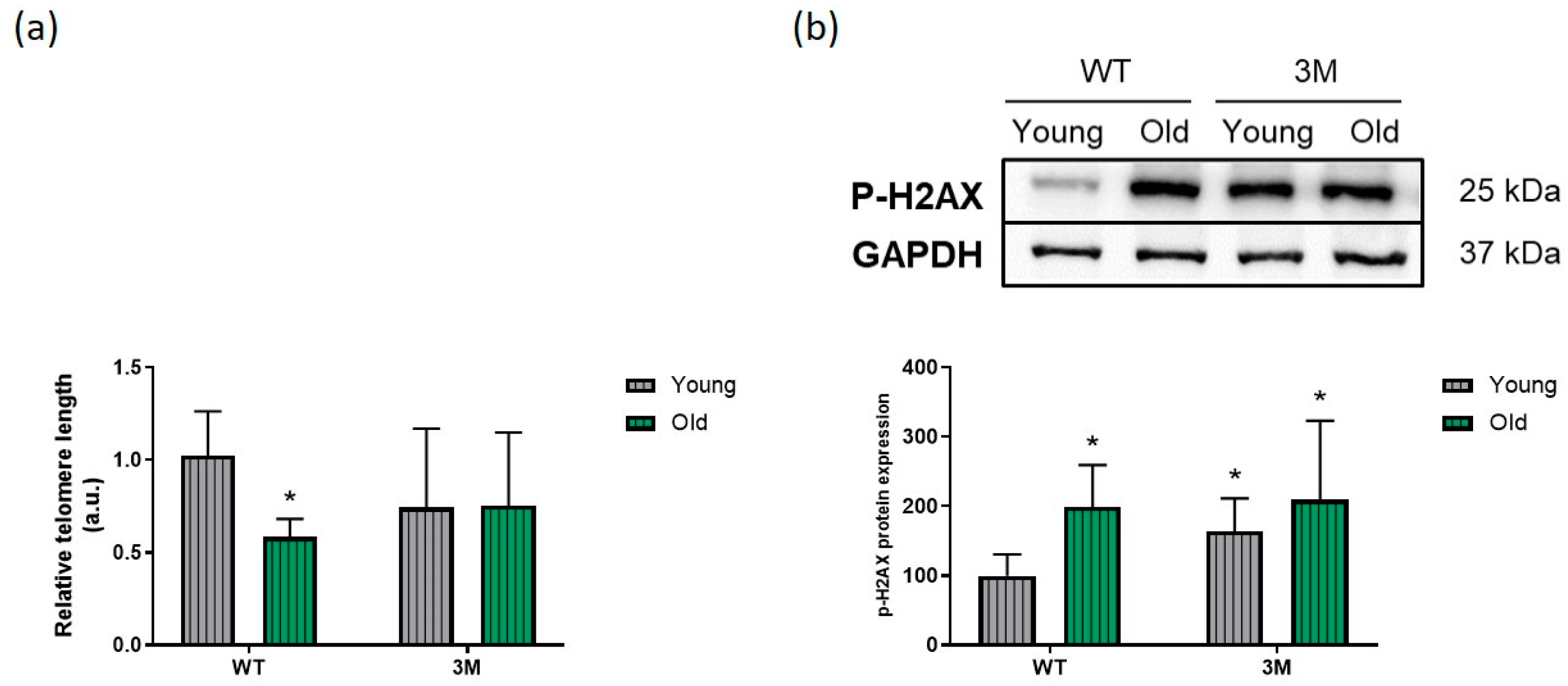 Biomedicines 13 00224 g007