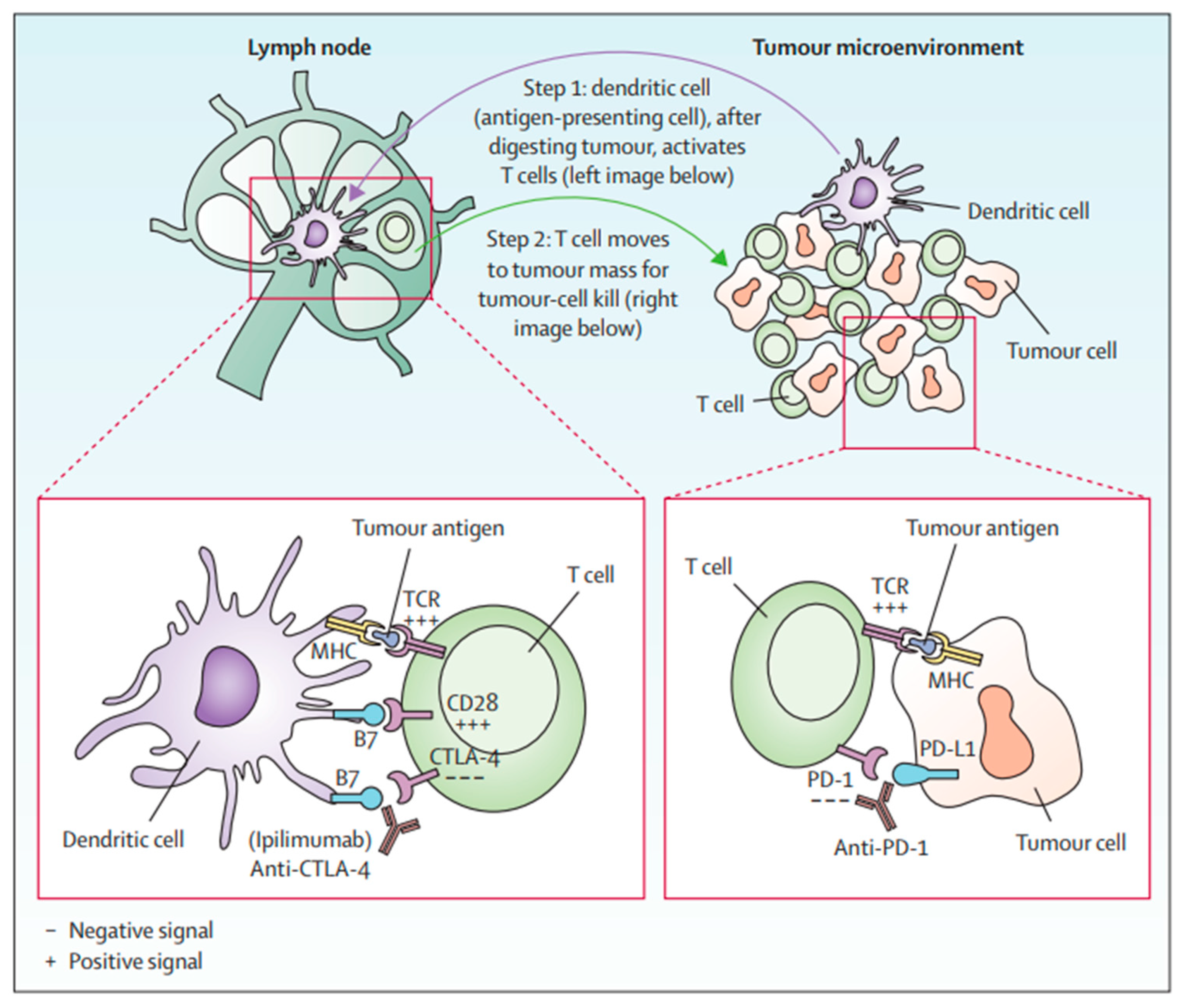 Biomedicines 13 00225 g002