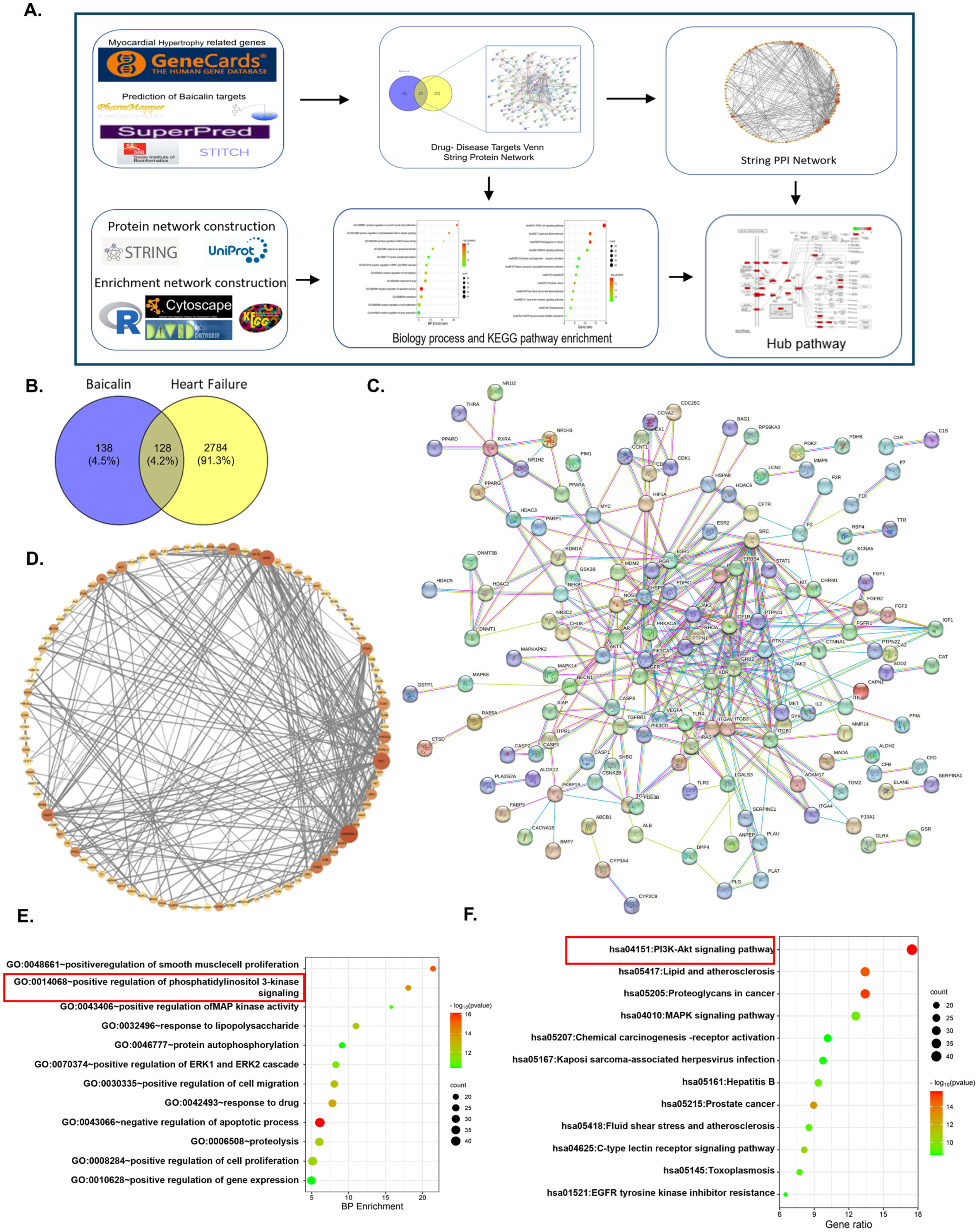 Biomedicines 13 00232 g003