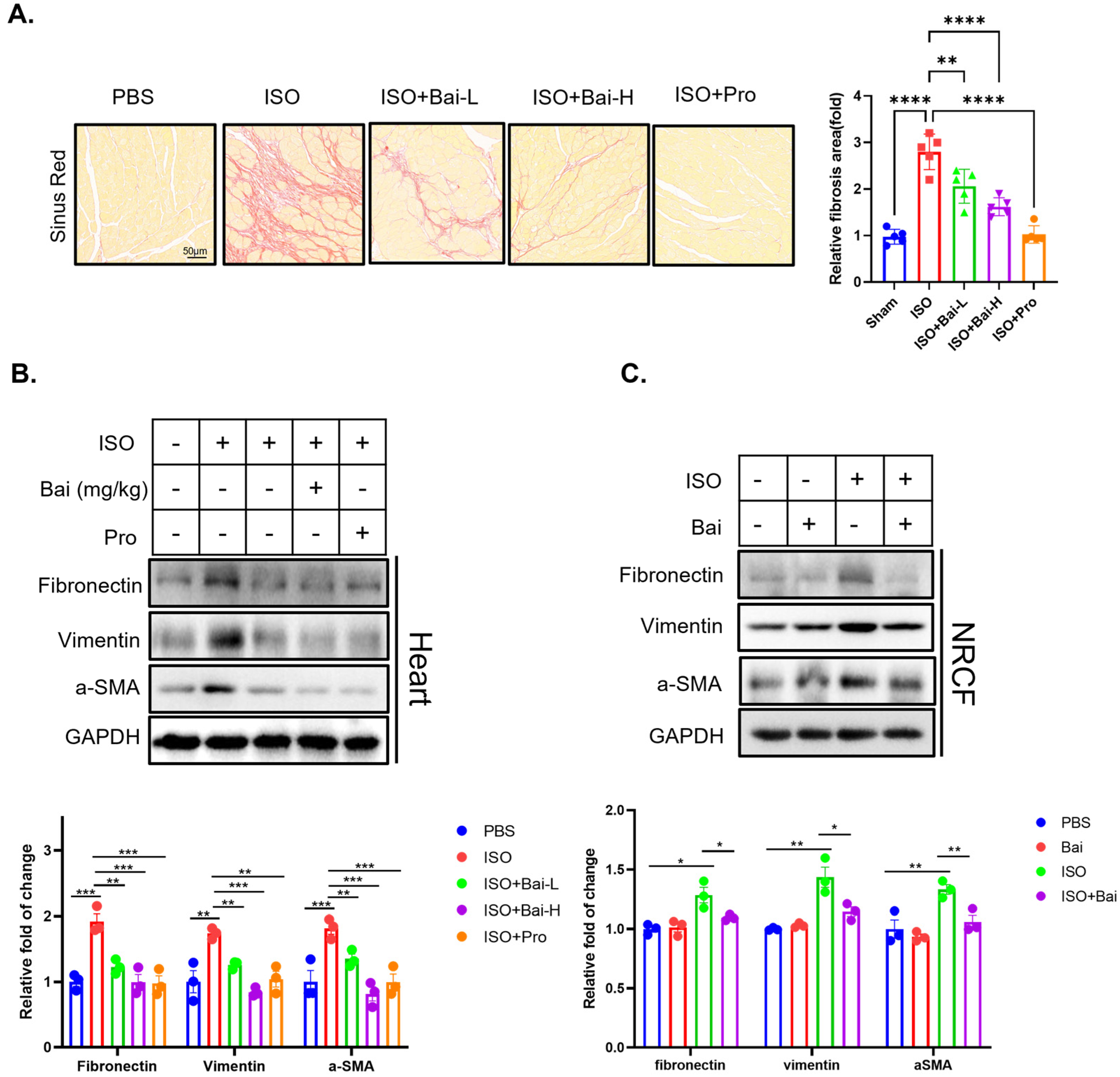 Biomedicines 13 00232 g005