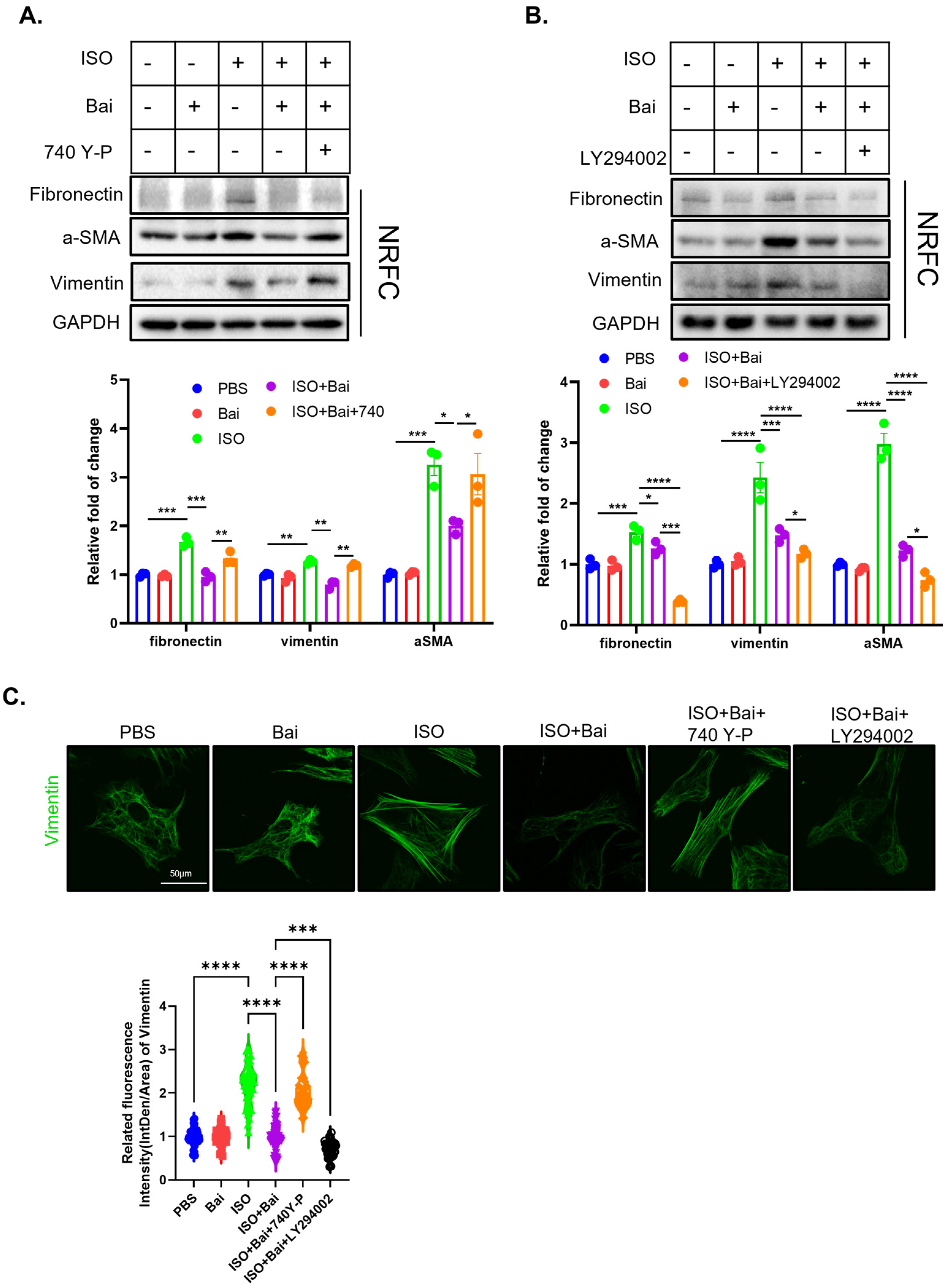 Biomedicines 13 00232 g006