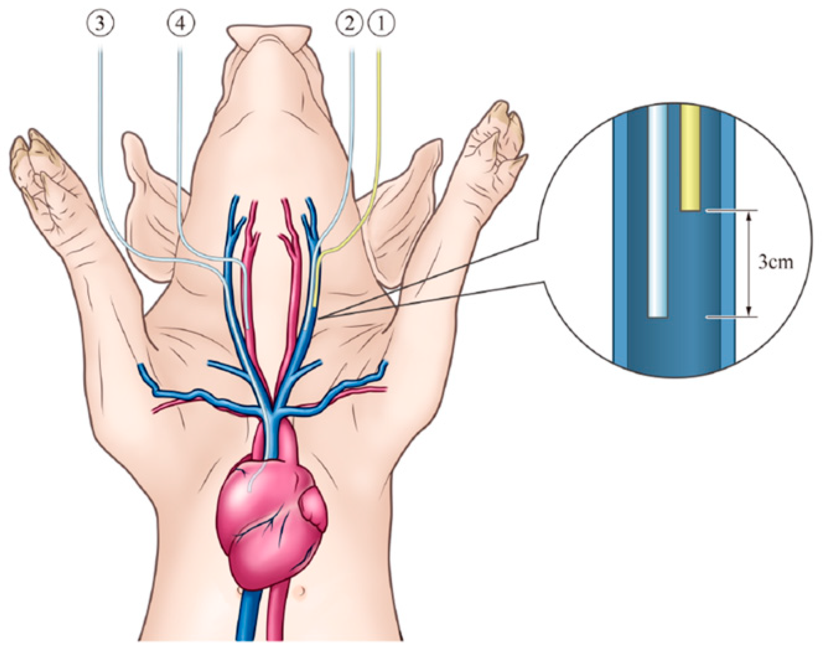 Biomedicines 13 00234 g002 Biomedicines 13 00234 g002