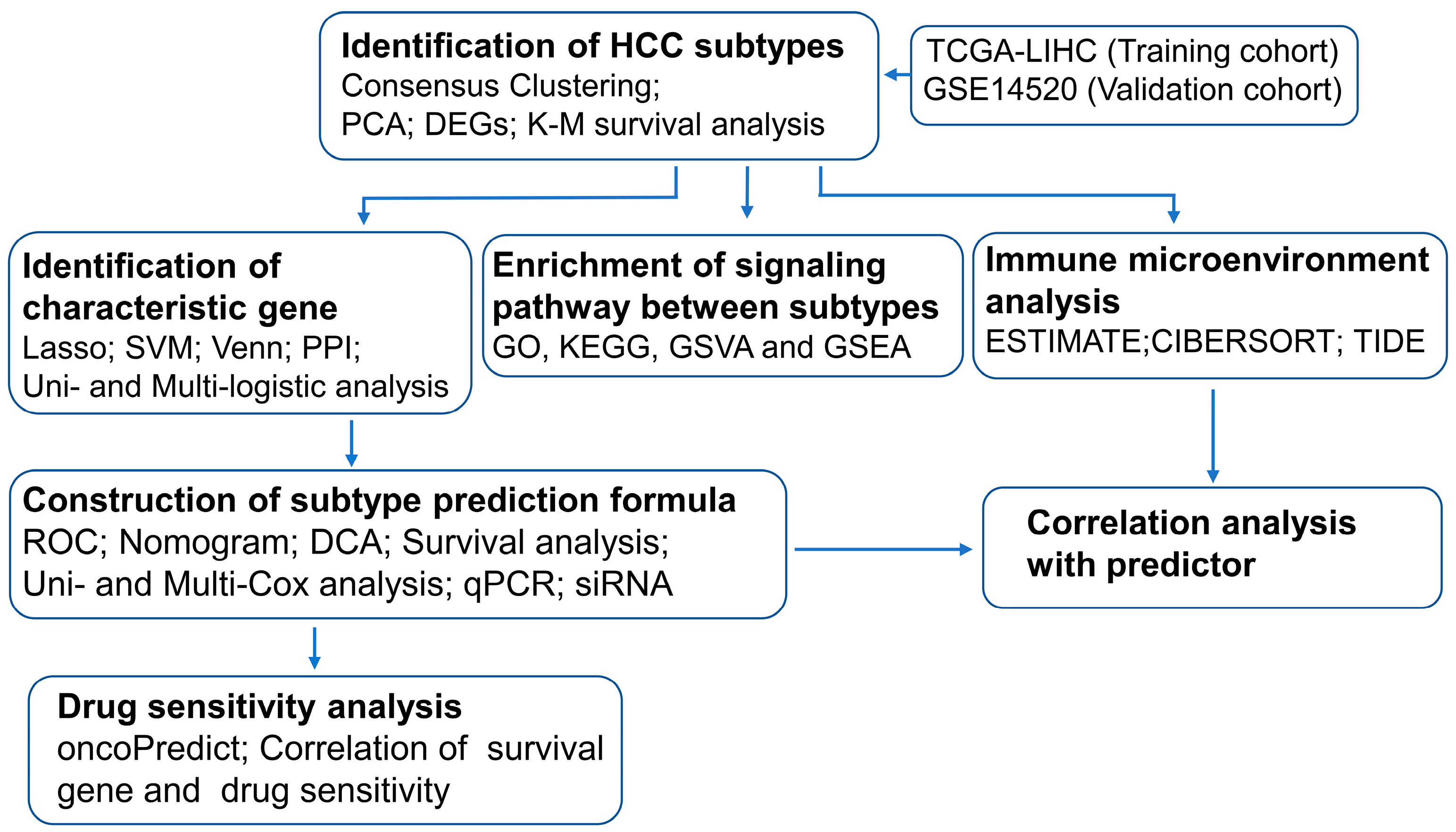 Biomedicines 13 00236 g001