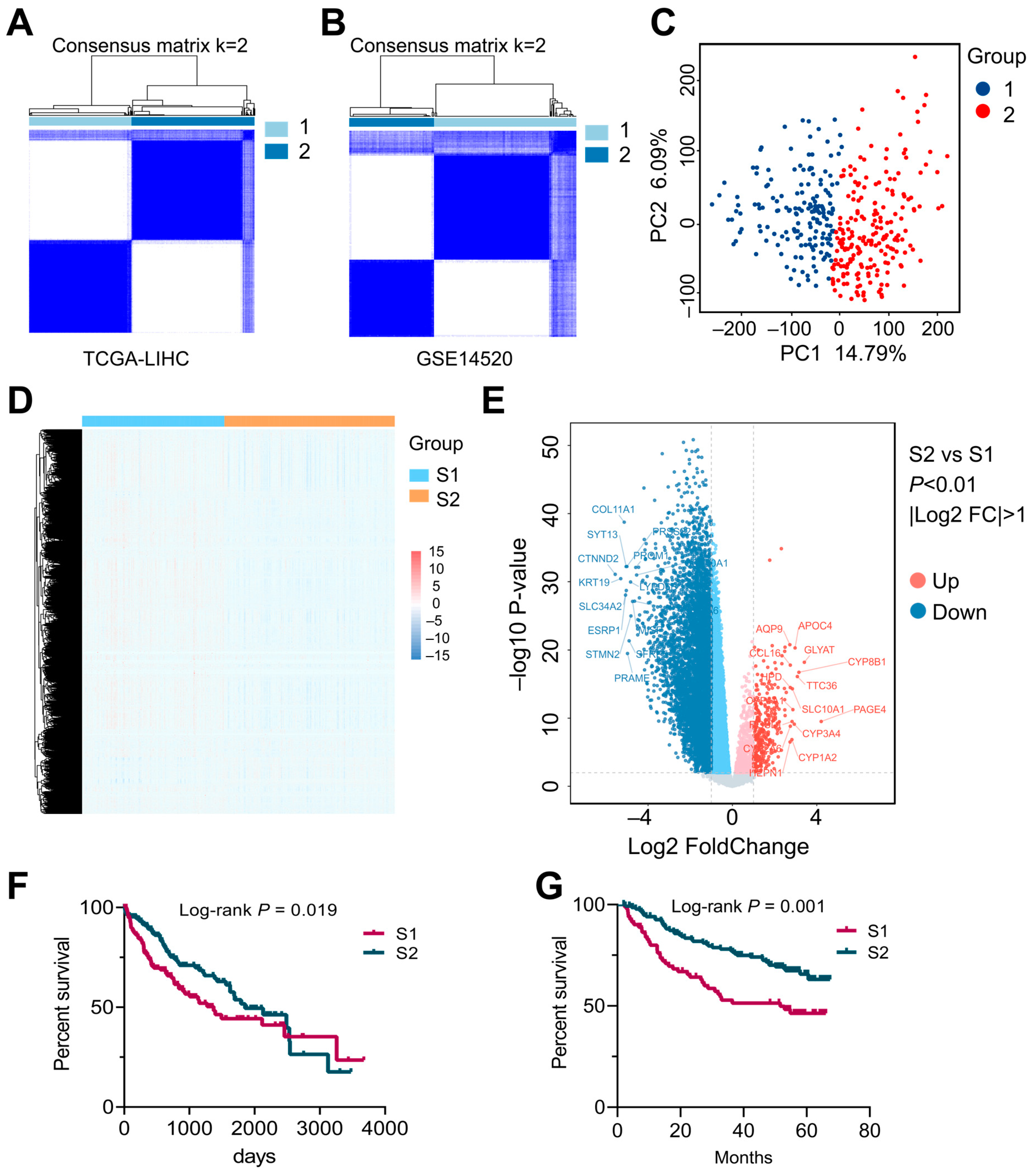 Biomedicines 13 00236 g002