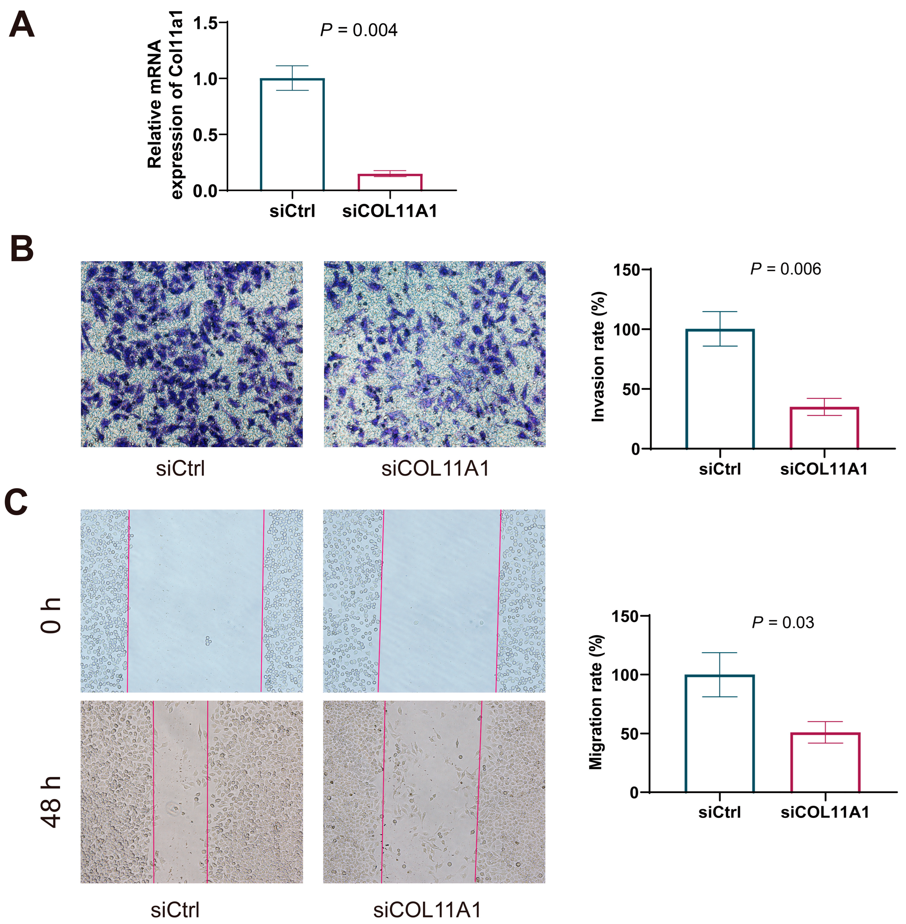 Biomedicines 13 00236 g005