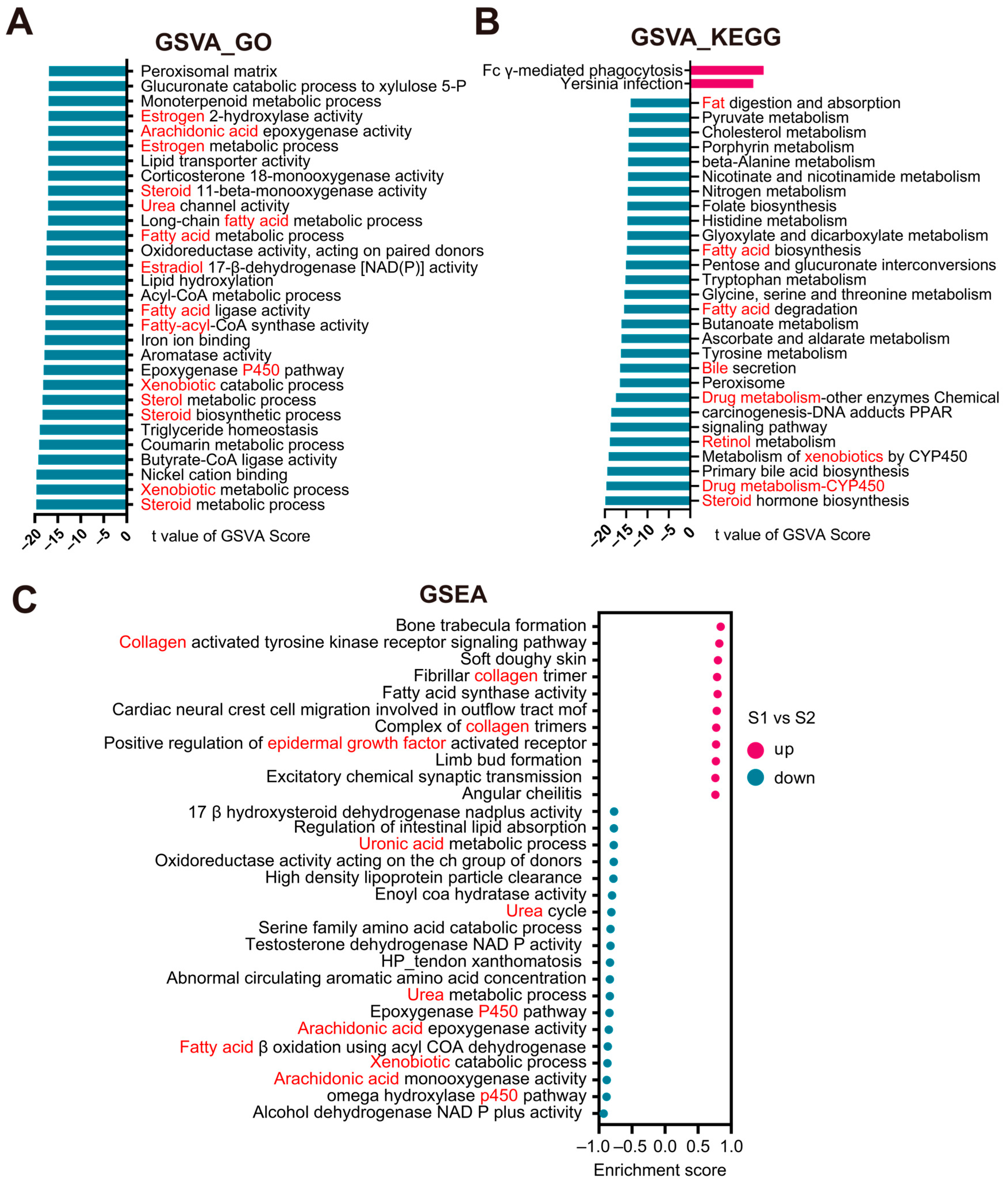 Biomedicines 13 00236 g007