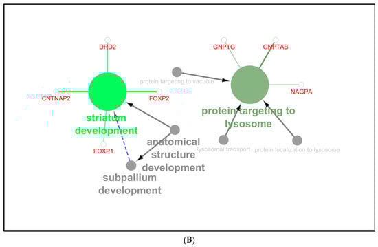 Biomedicines 13 00239 g002b