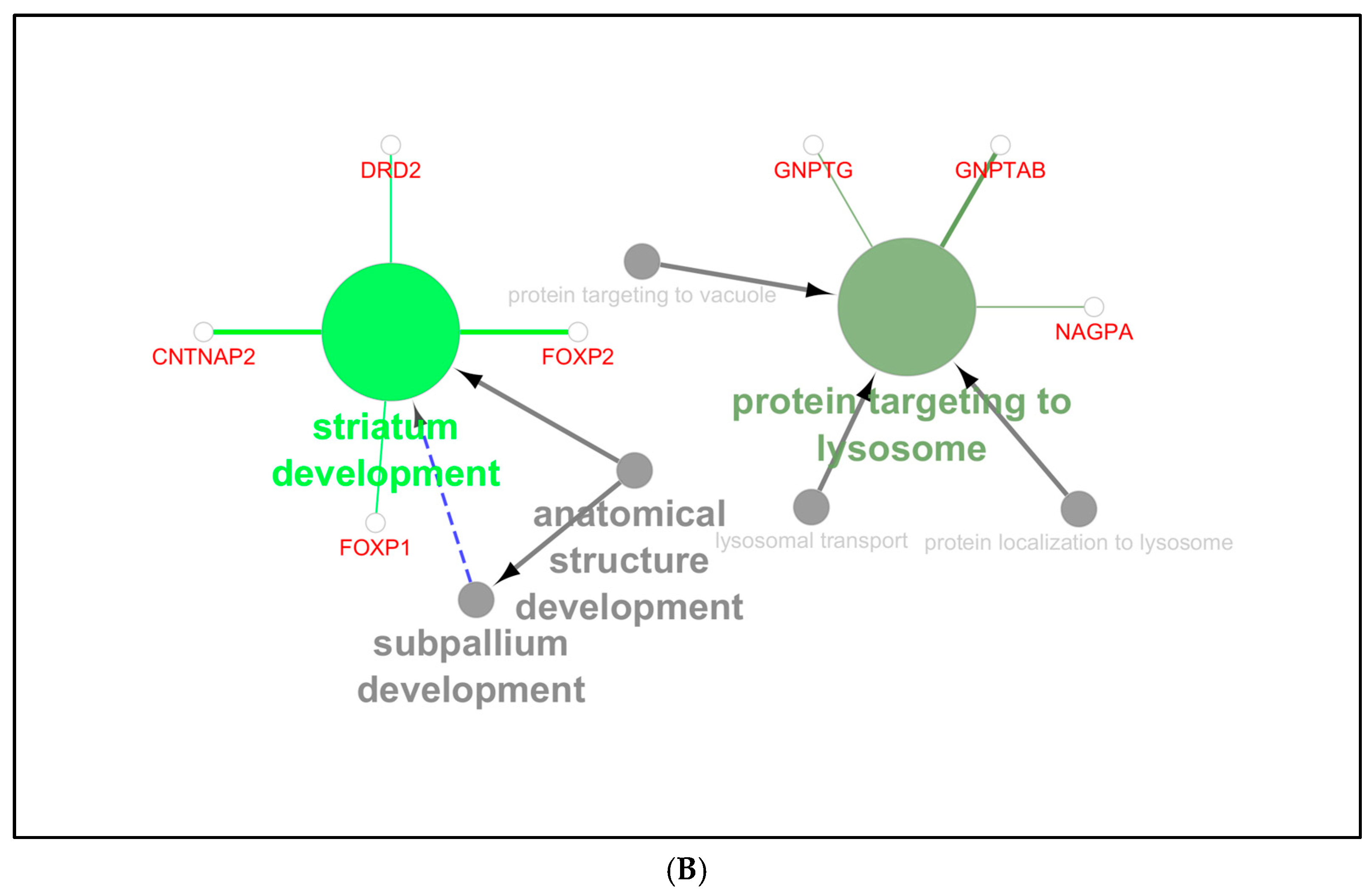 Biomedicines 13 00239 g002b