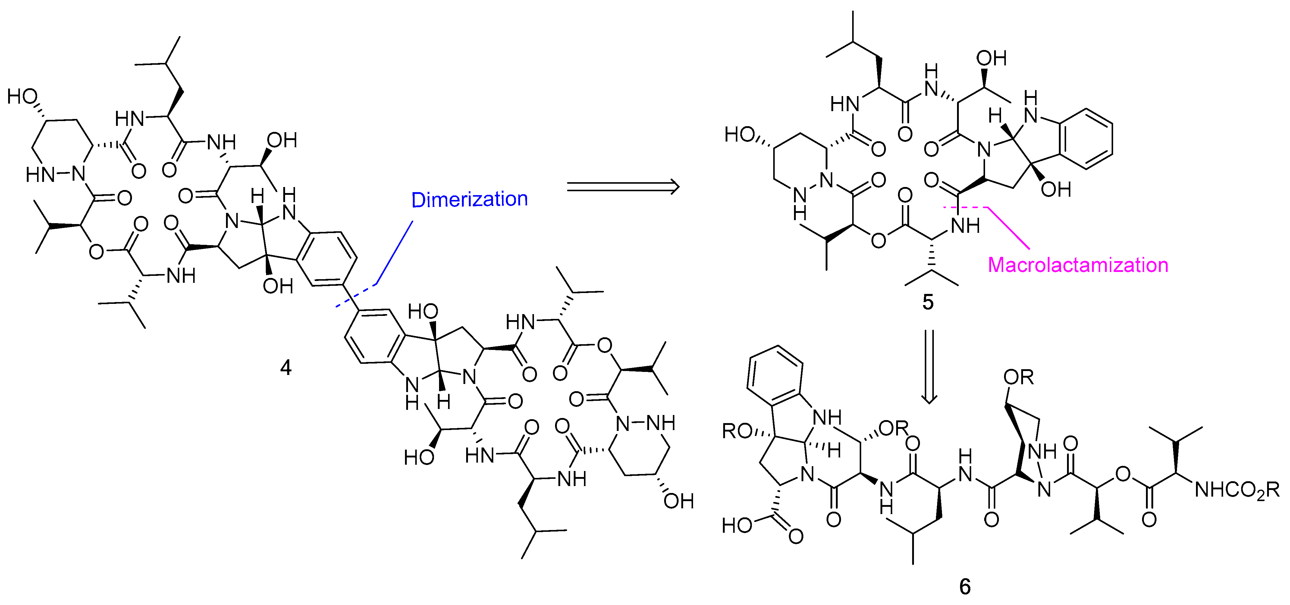 Biomedicines 13 00240 g002
