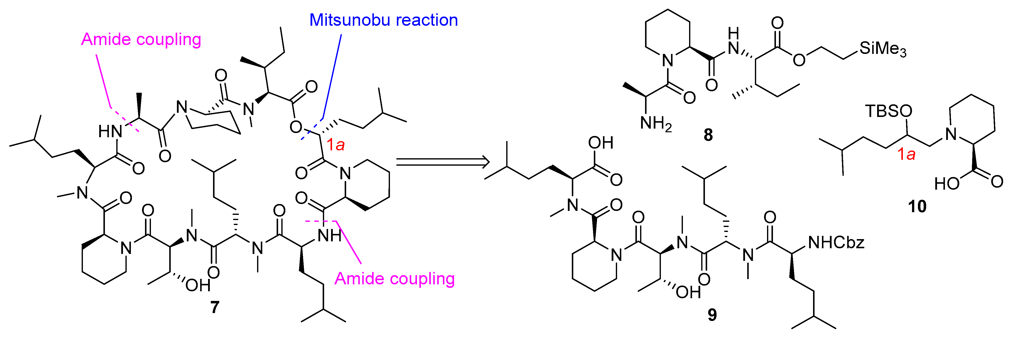 Biomedicines 13 00240 g003