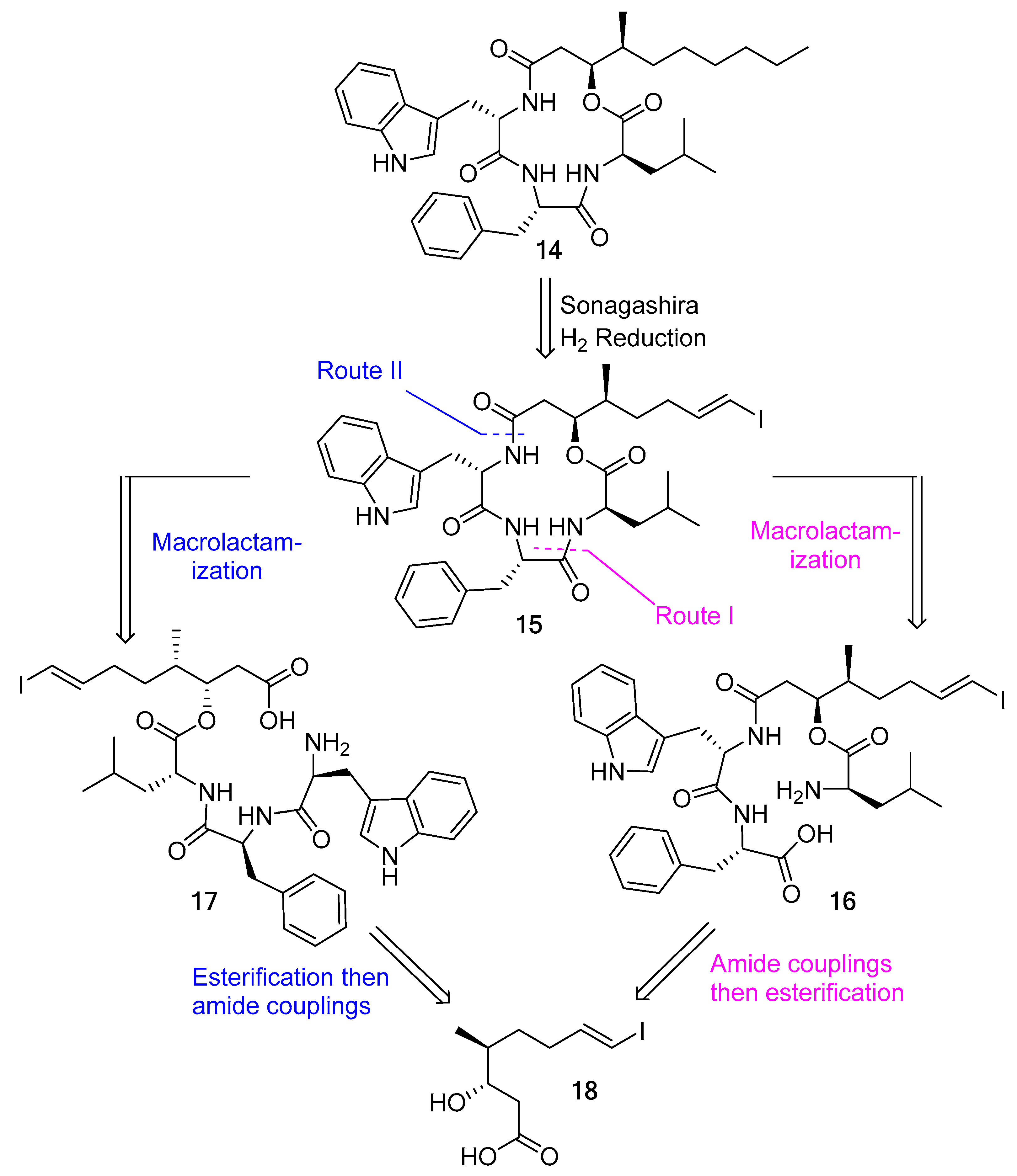 Biomedicines 13 00240 g005