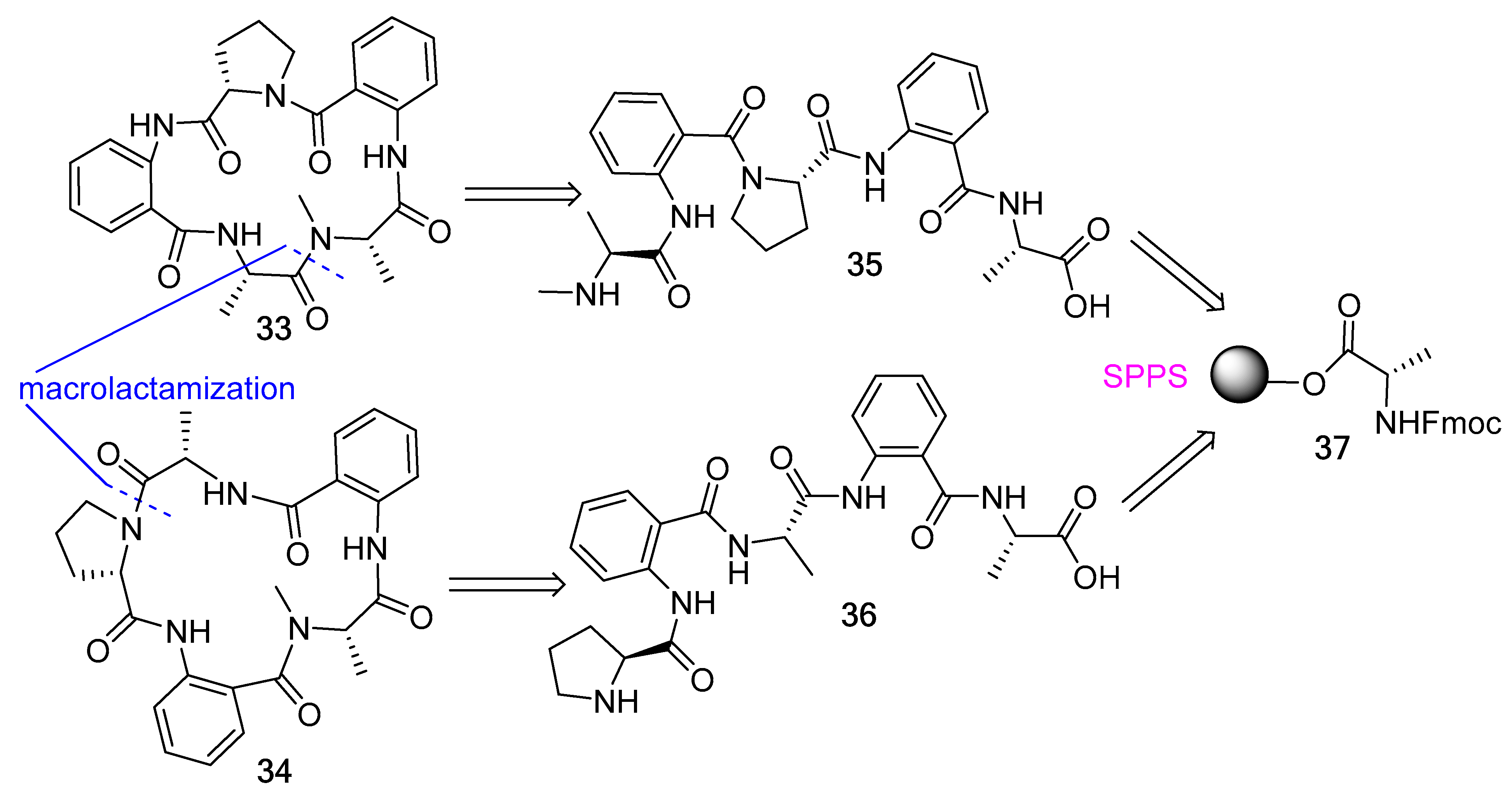 Biomedicines 13 00240 g009