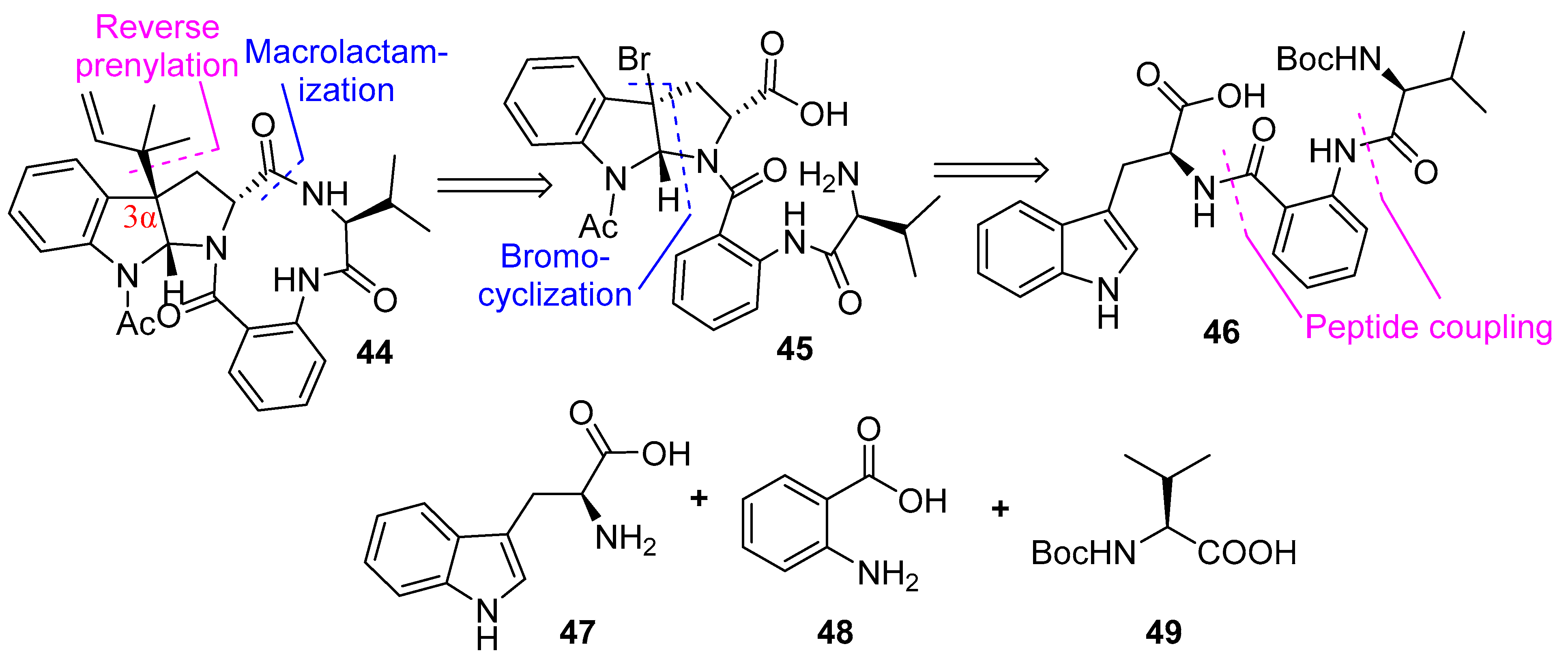 Biomedicines 13 00240 g012