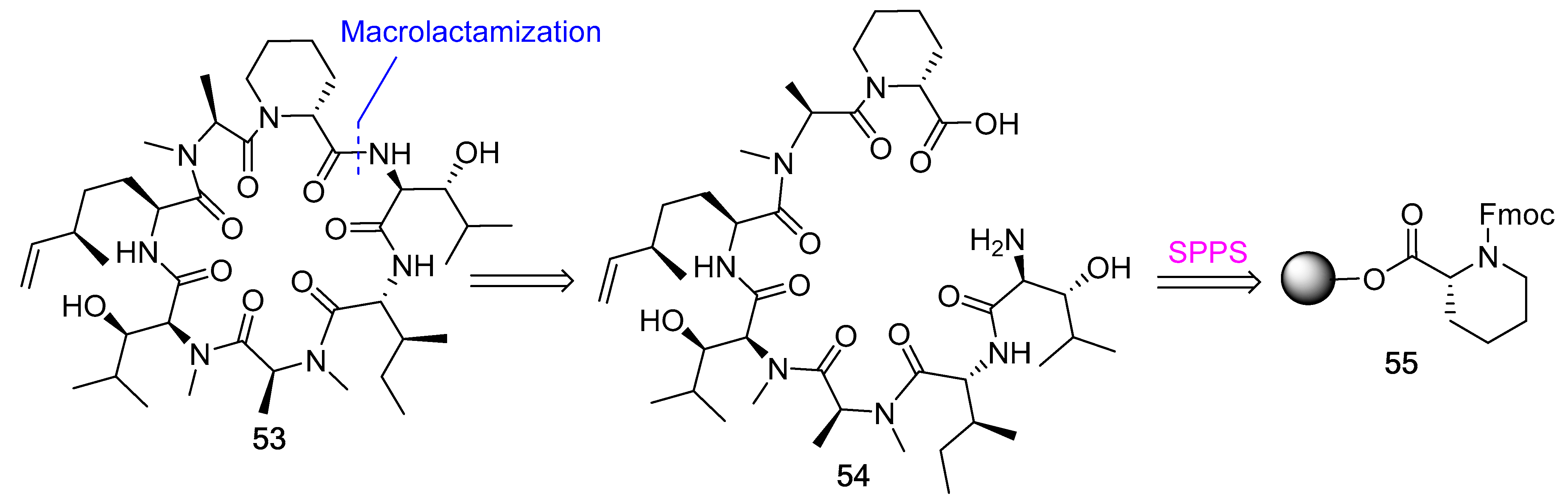Biomedicines 13 00240 g014