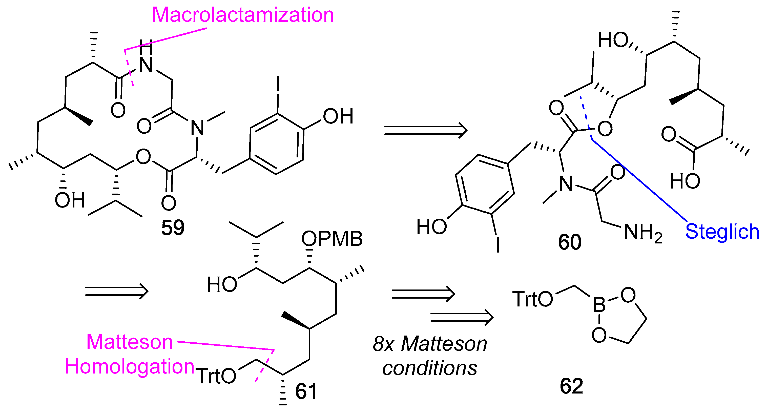 Biomedicines 13 00240 g016