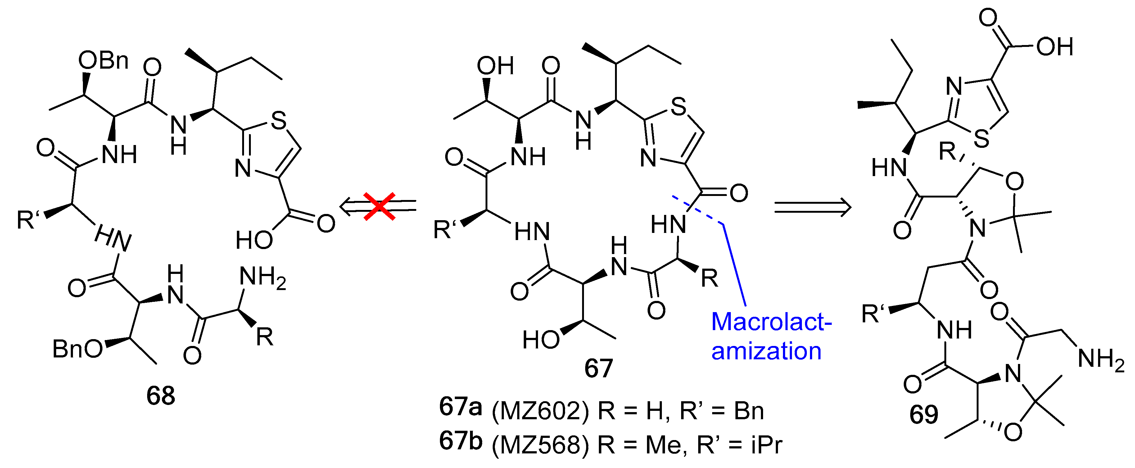 Biomedicines 13 00240 g018