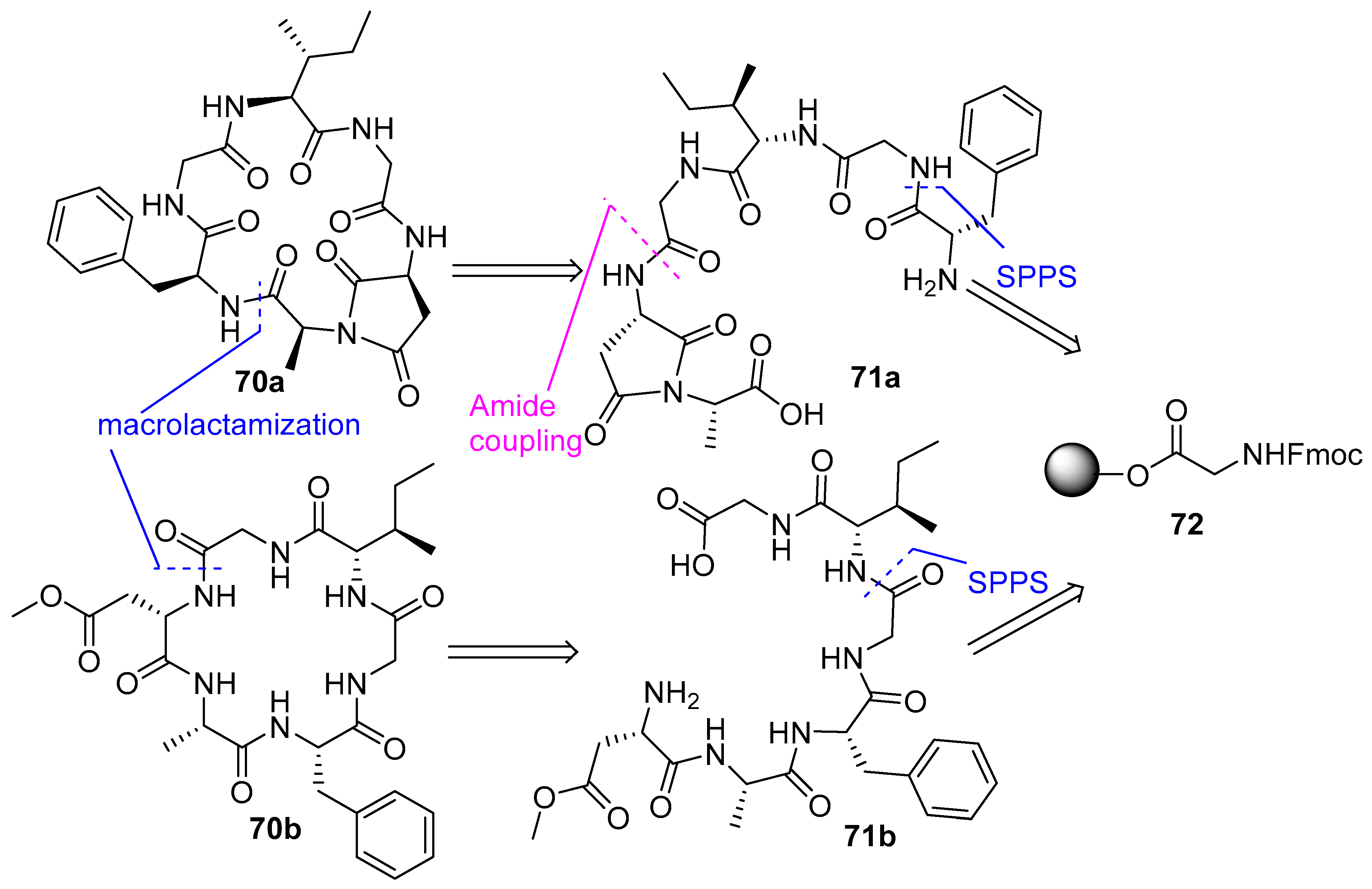 Biomedicines 13 00240 g019