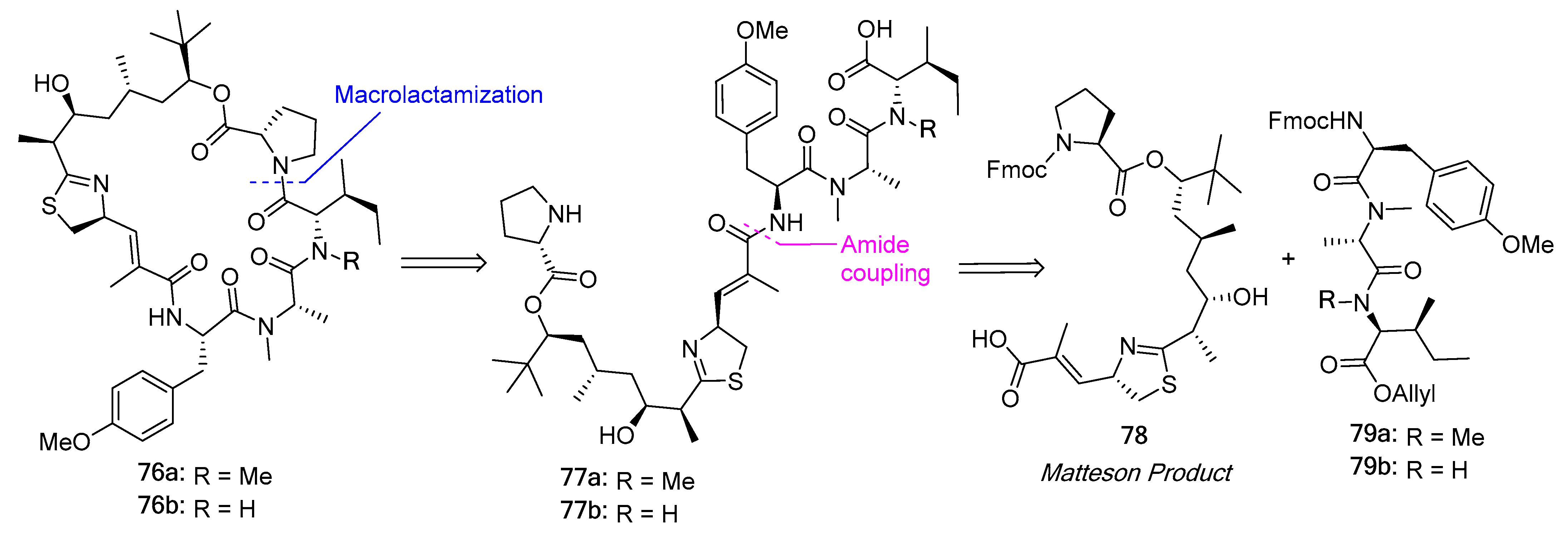 Biomedicines 13 00240 g021