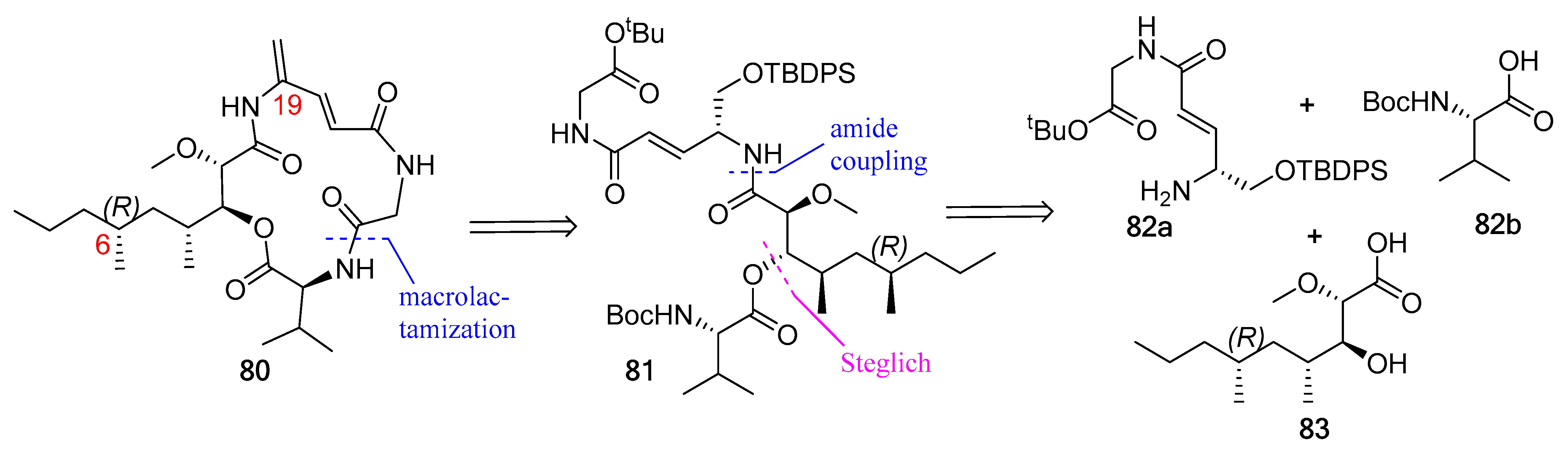 Biomedicines 13 00240 g022