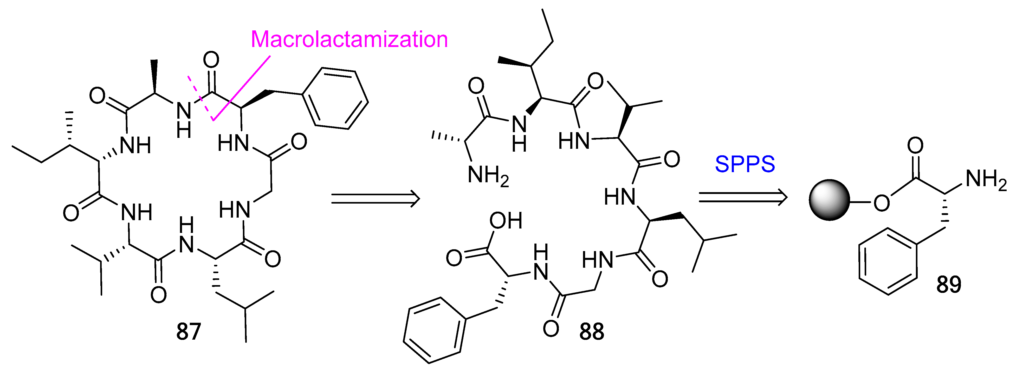 Biomedicines 13 00240 g024