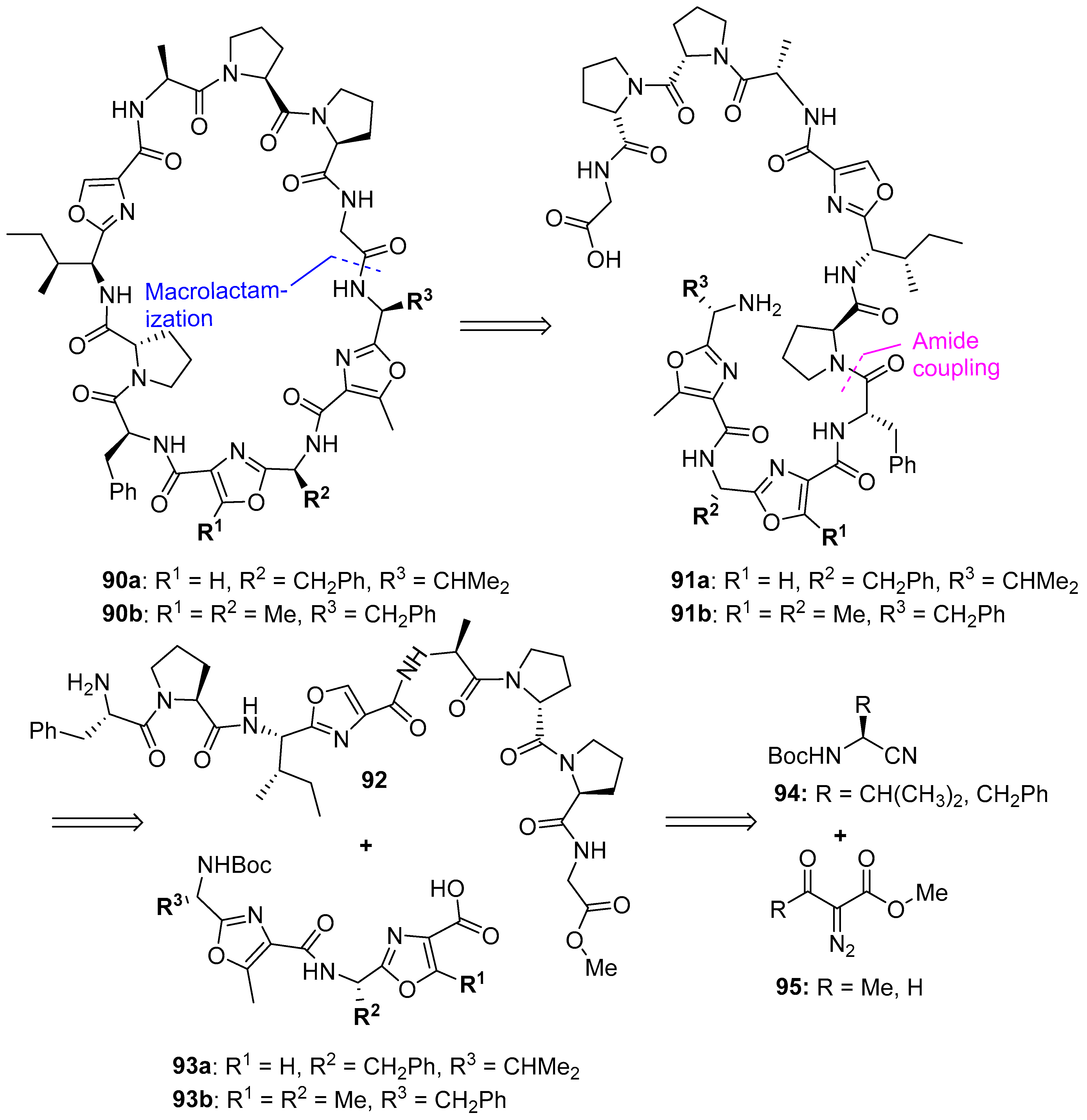 Biomedicines 13 00240 g025