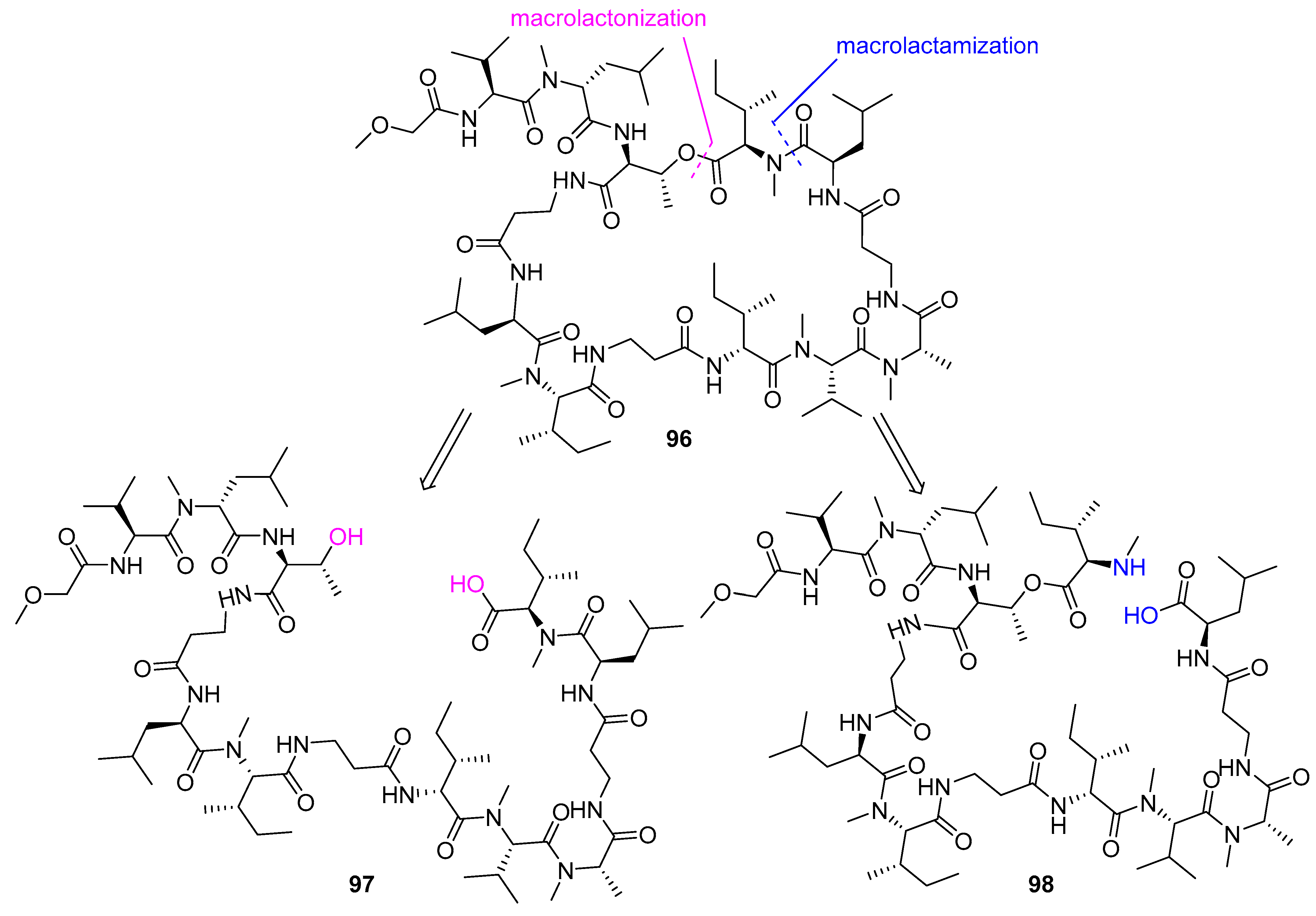 Biomedicines 13 00240 g026