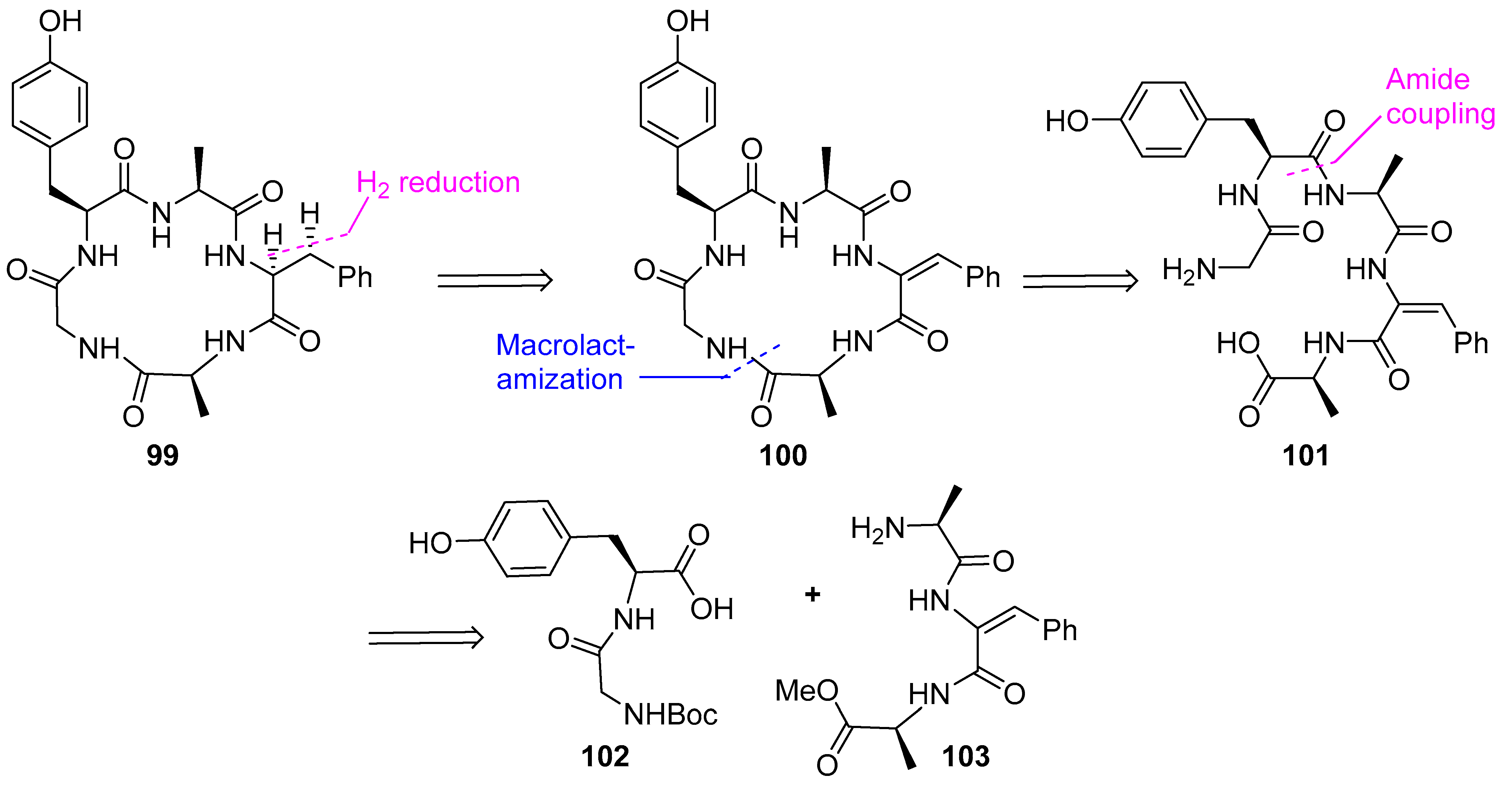 Biomedicines 13 00240 g027