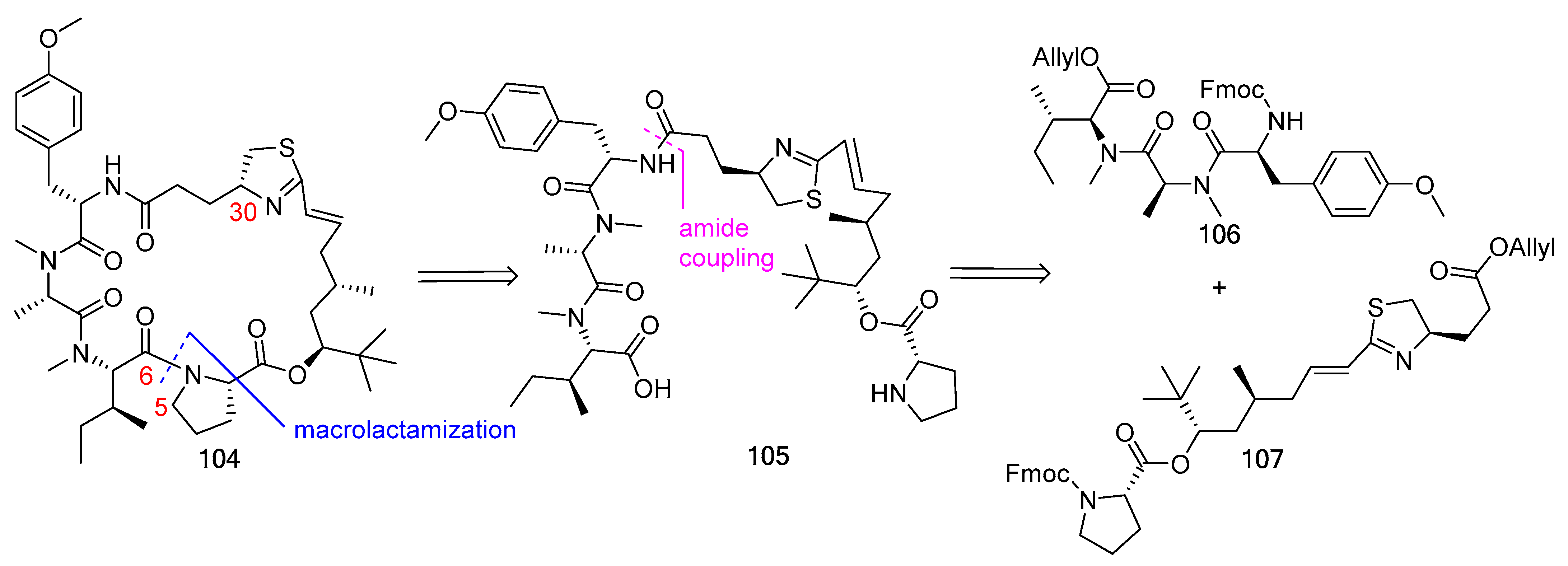 Biomedicines 13 00240 g028