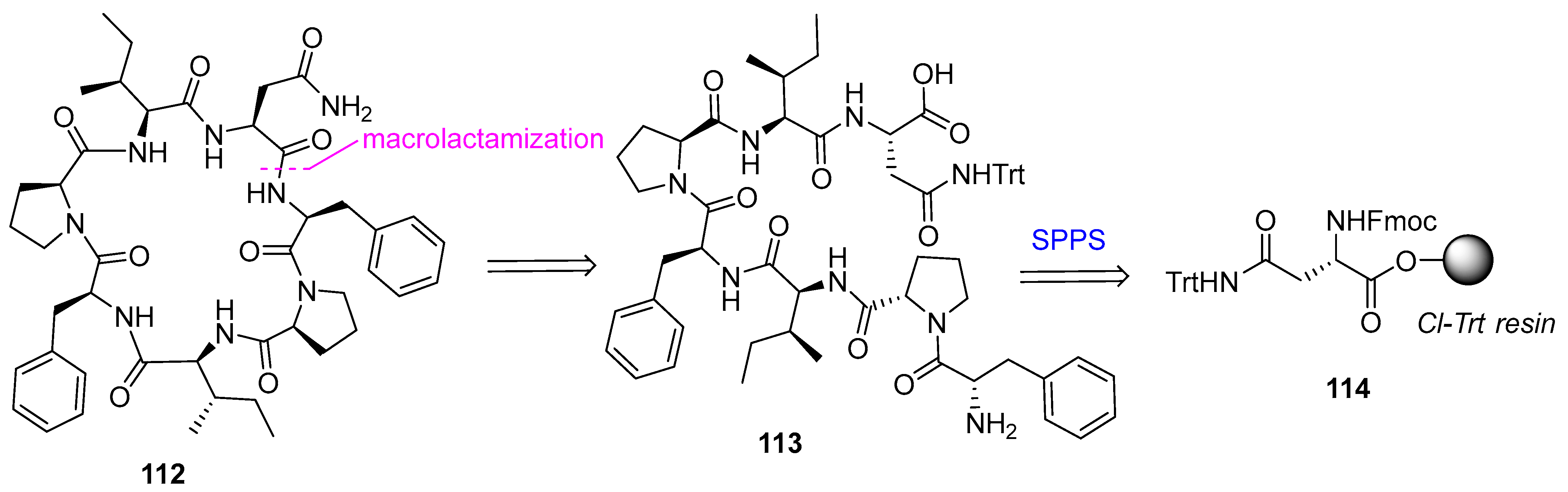 Biomedicines 13 00240 g030