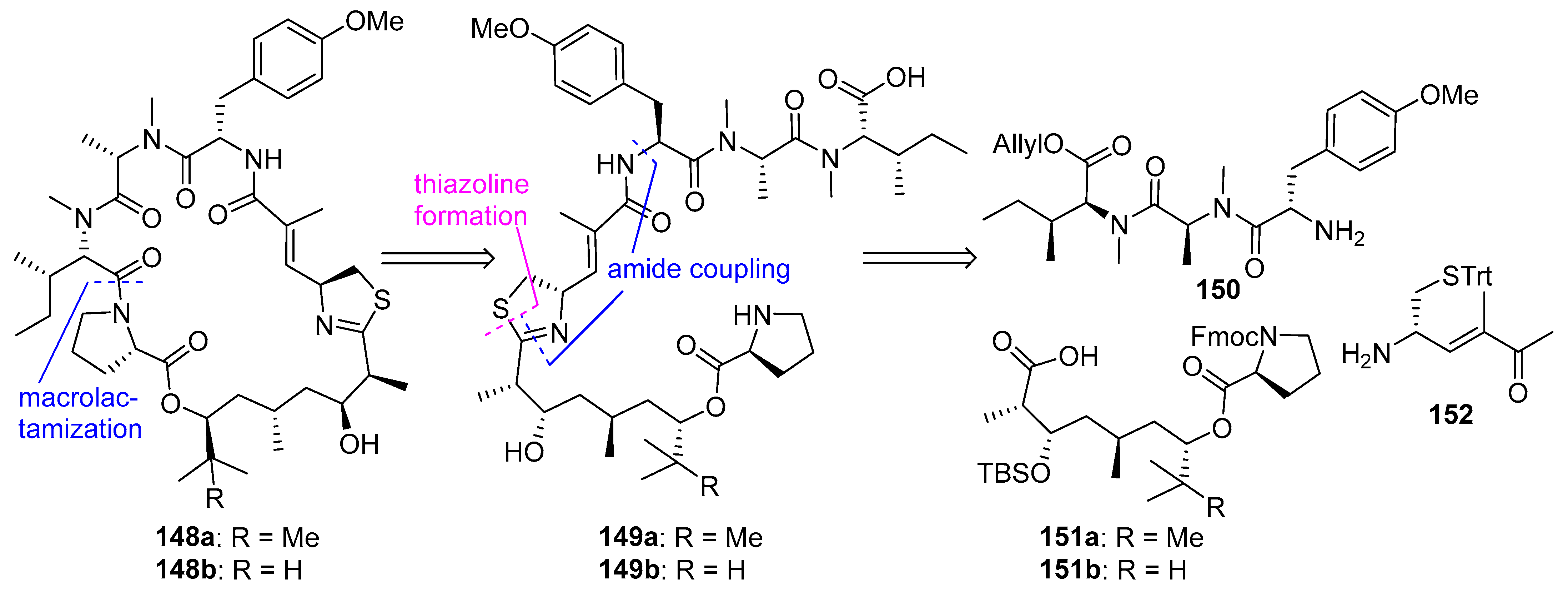 Biomedicines 13 00240 g040