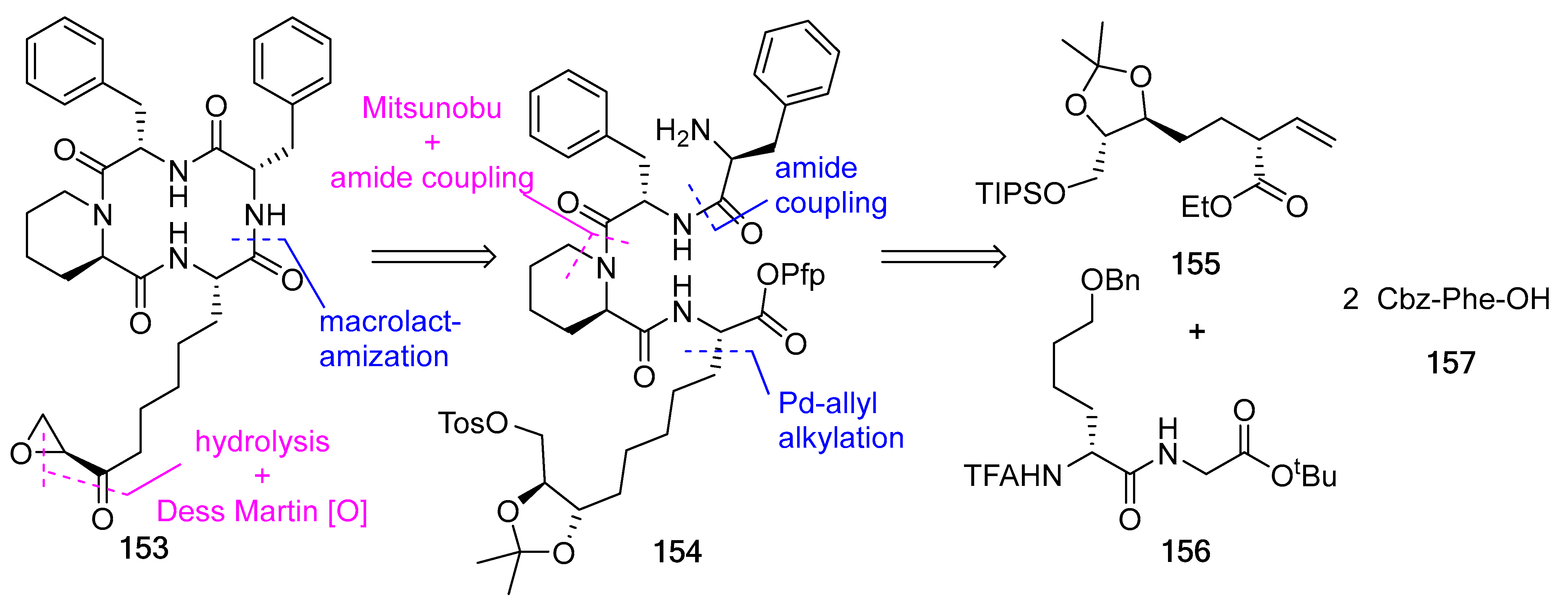 Biomedicines 13 00240 g041