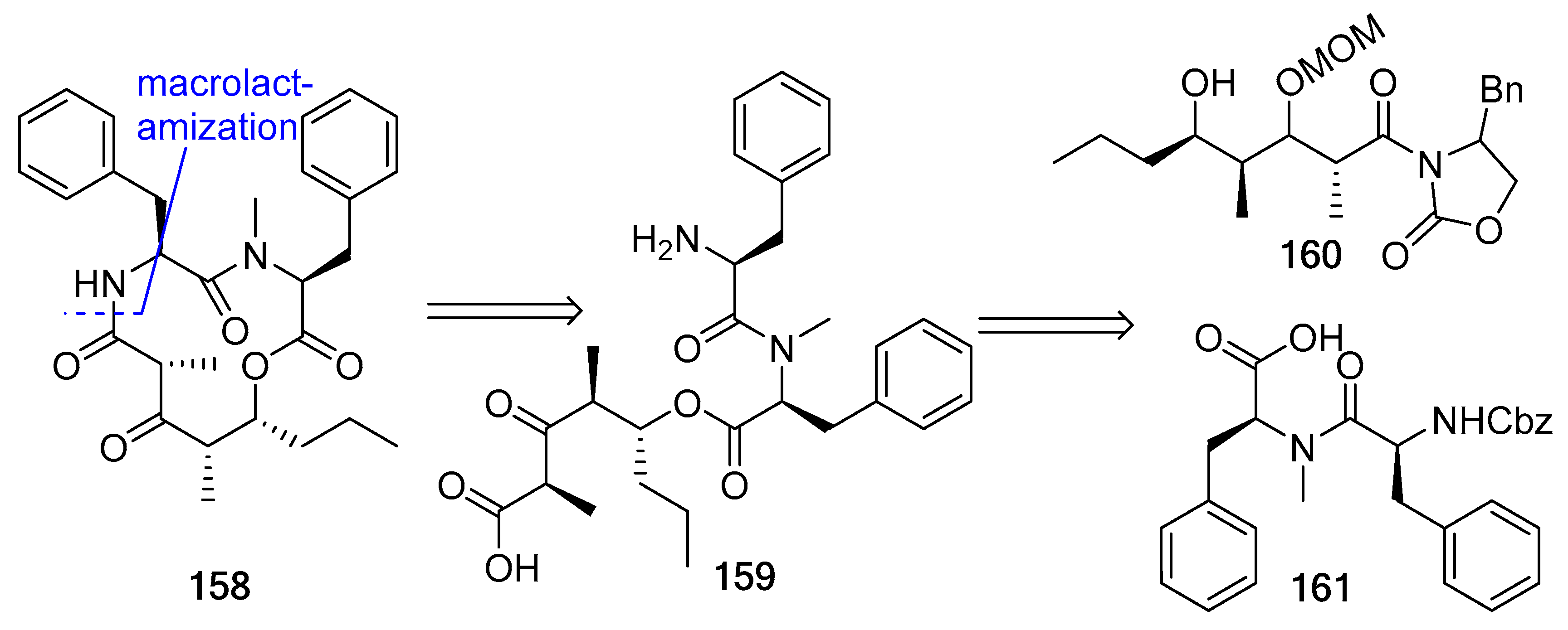 Biomedicines 13 00240 g042