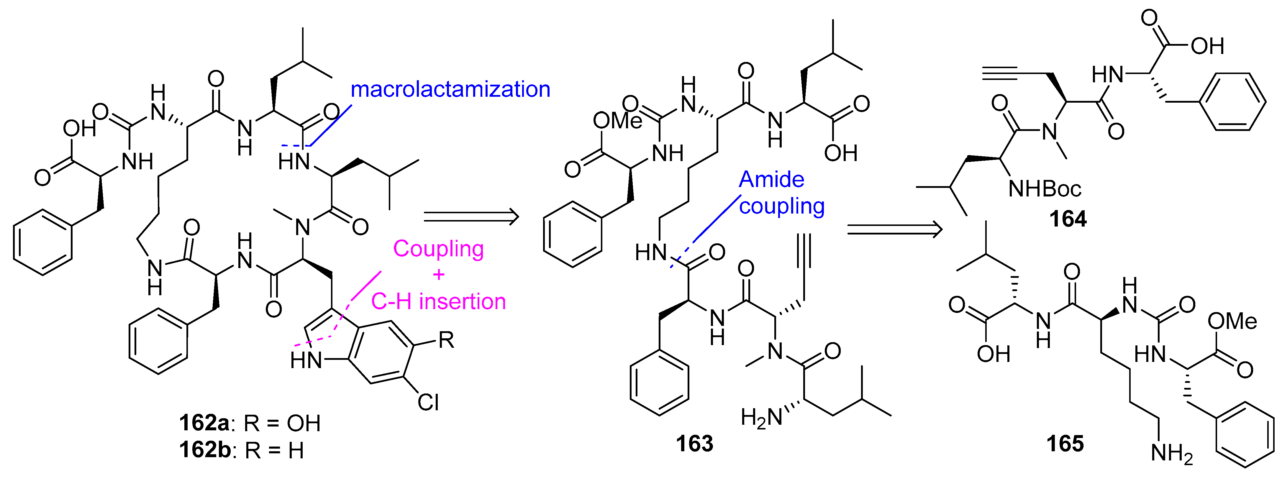 Biomedicines 13 00240 g043