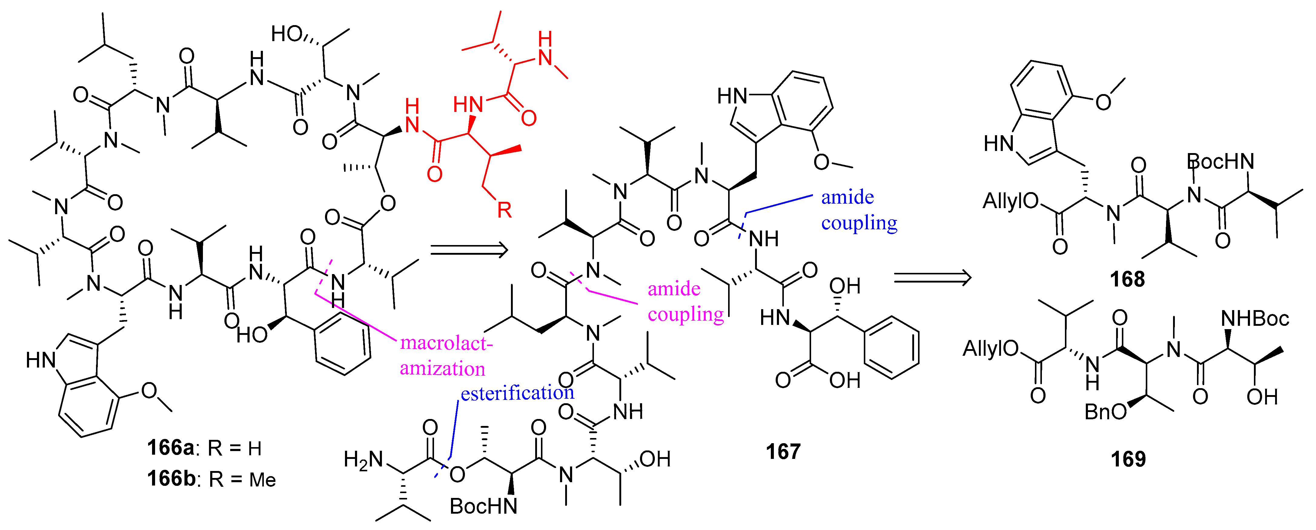 Biomedicines 13 00240 g044