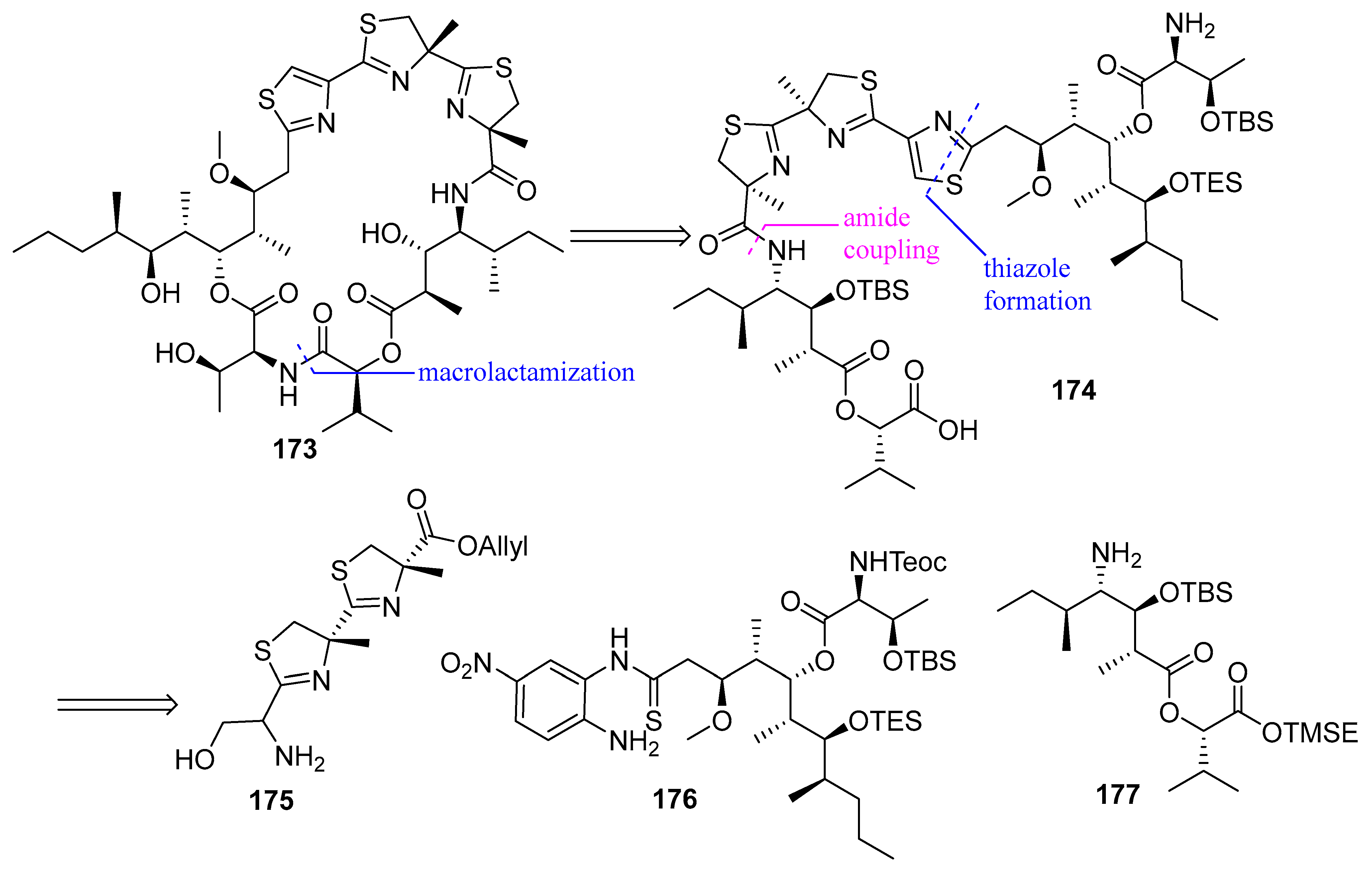 Biomedicines 13 00240 g046