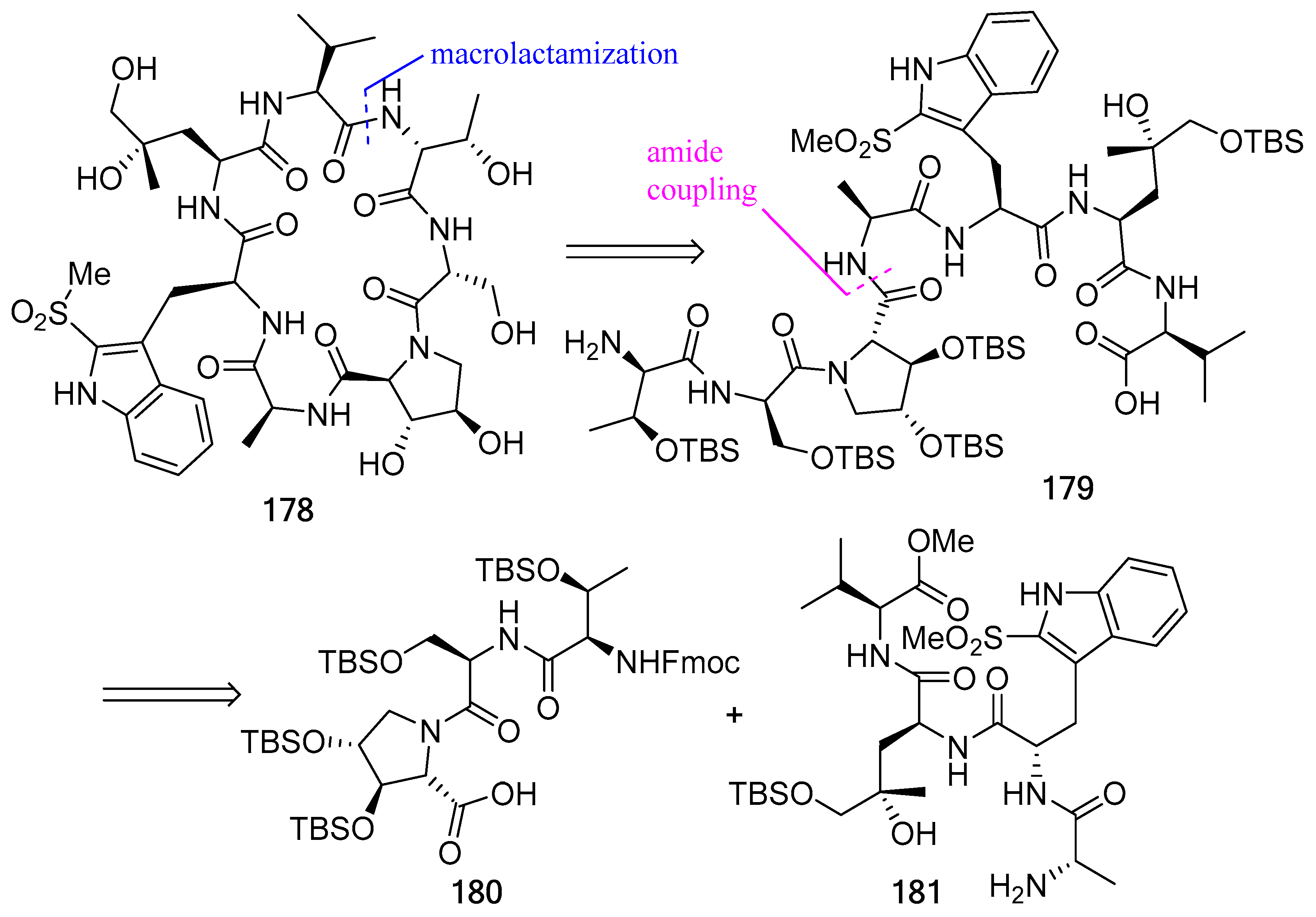 Biomedicines 13 00240 g047