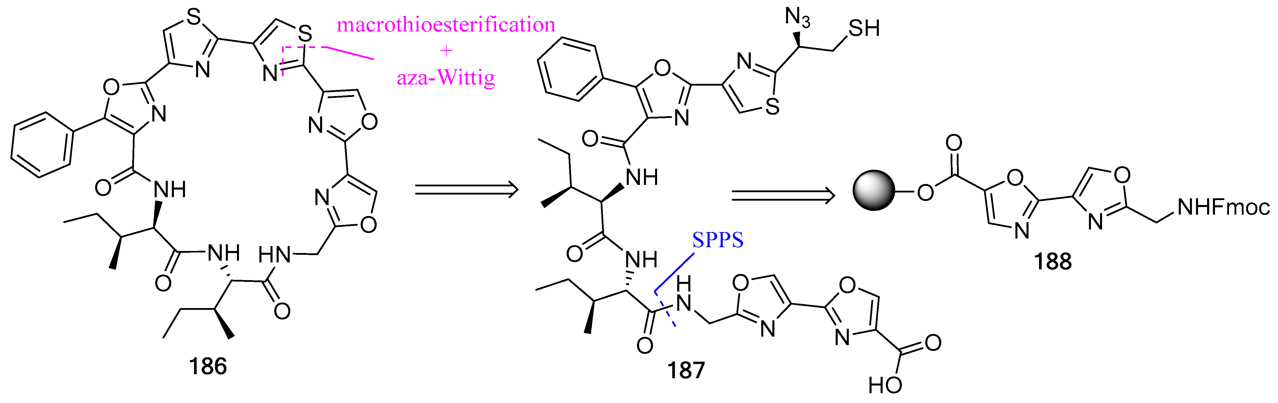 Biomedicines 13 00240 g049