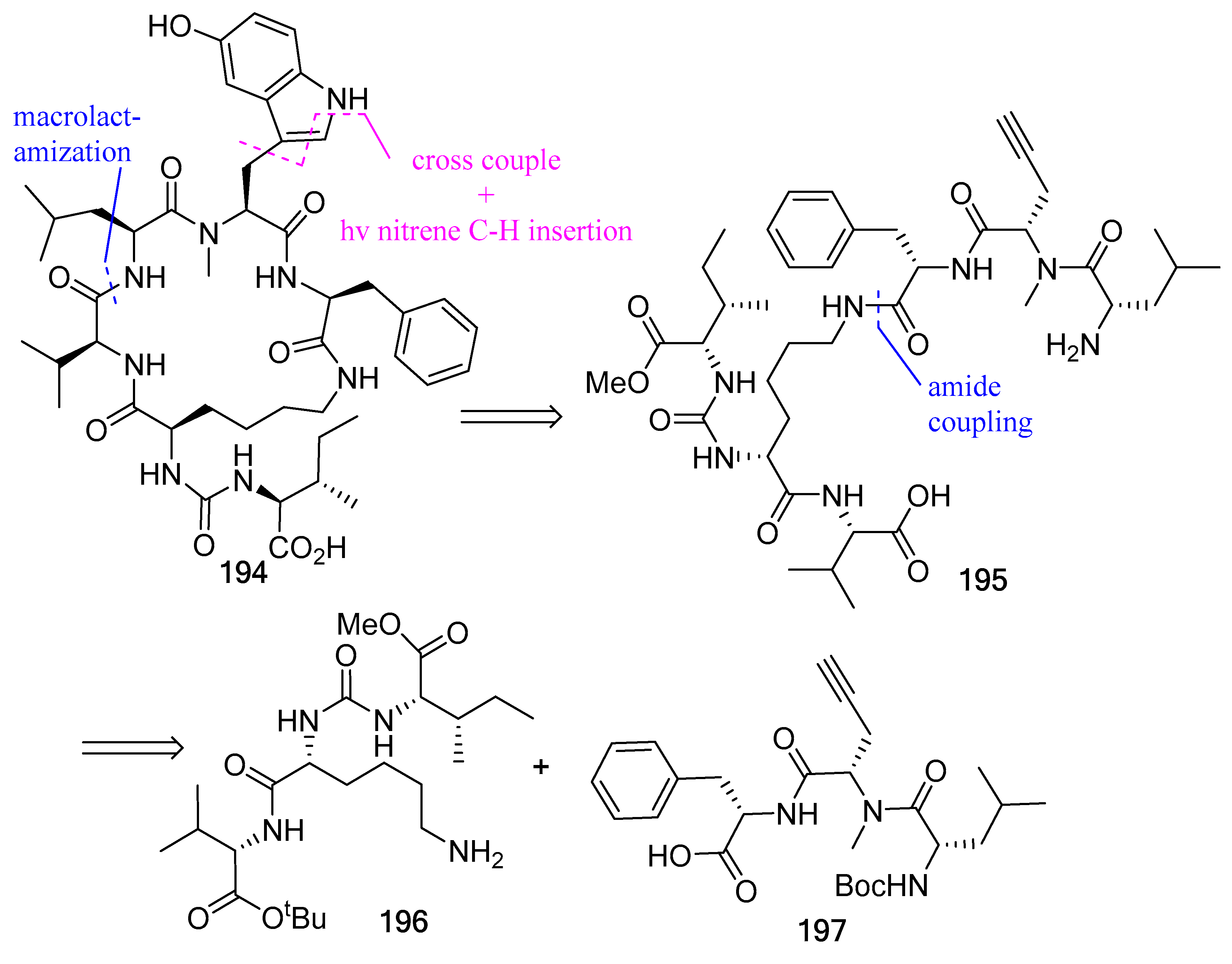Biomedicines 13 00240 g051