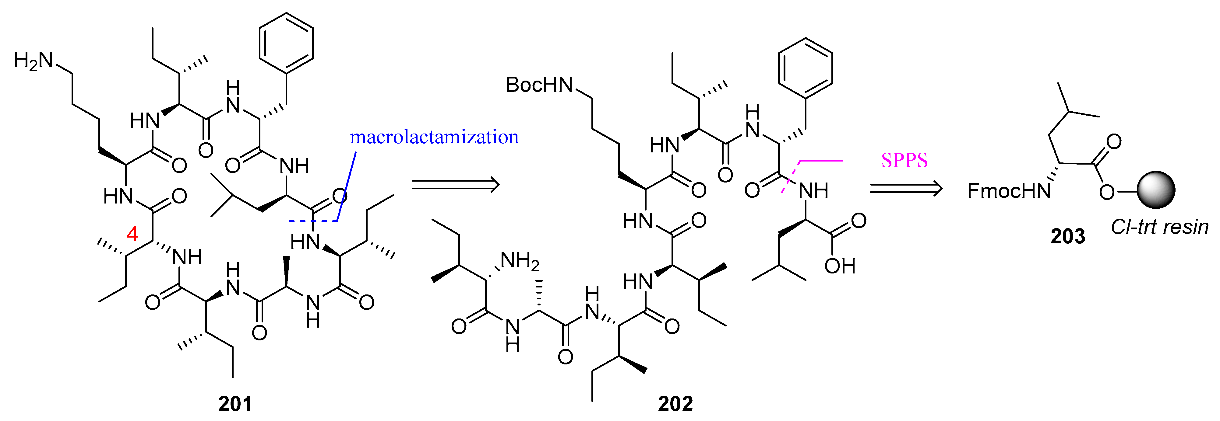 Biomedicines 13 00240 g053