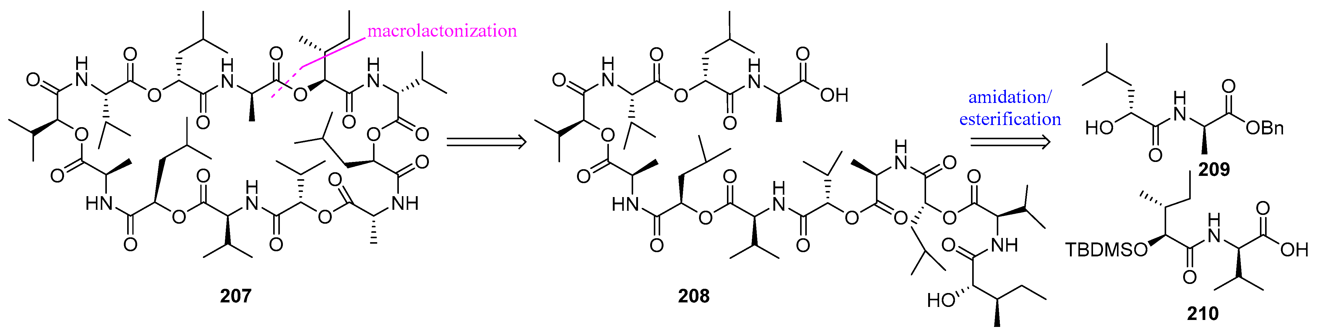 Biomedicines 13 00240 g055